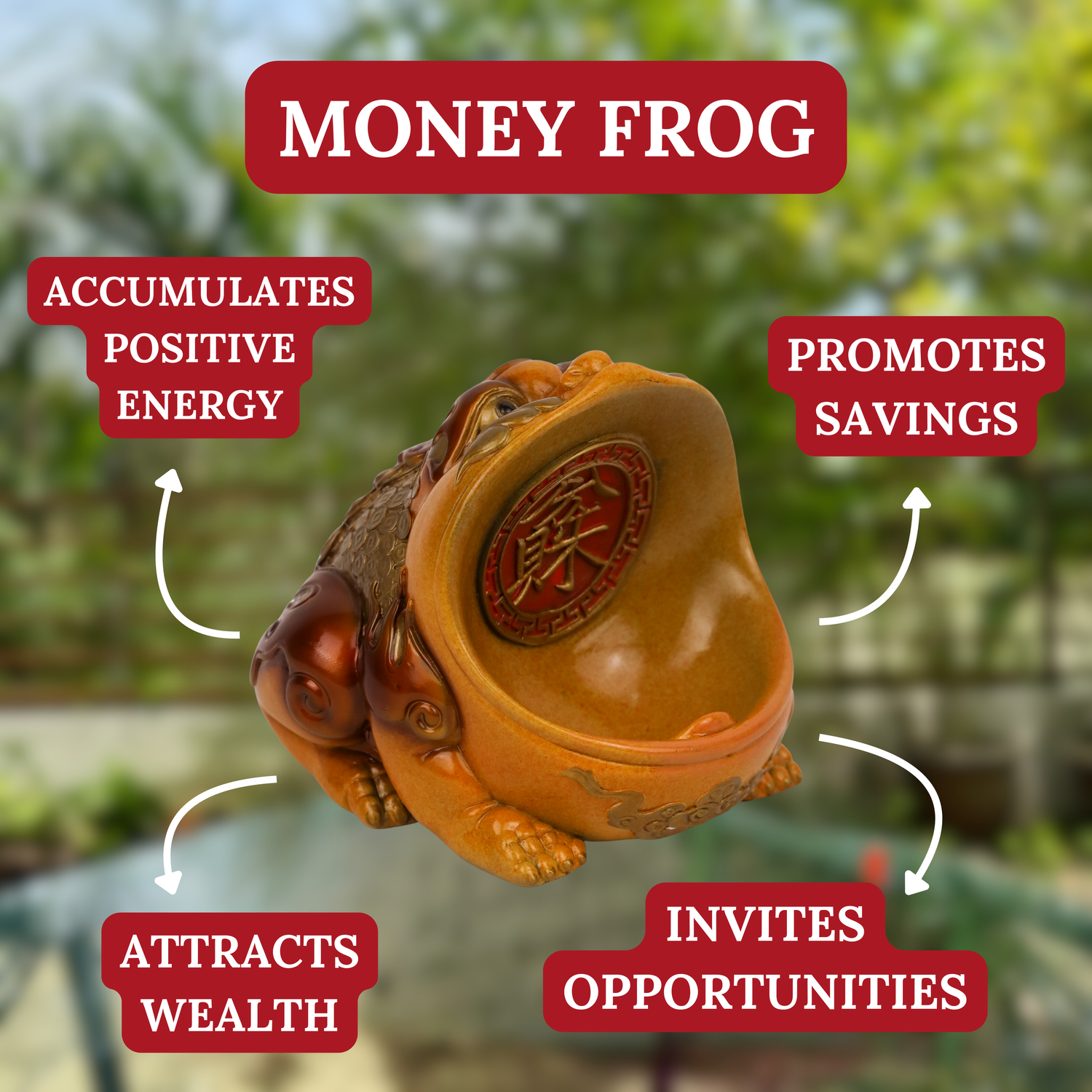 The Coin Eater - Hungry Money Frog 15cm