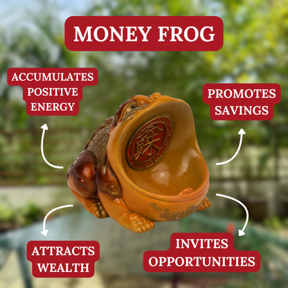 The Coin Eater - Hungry Money Frog 15cm