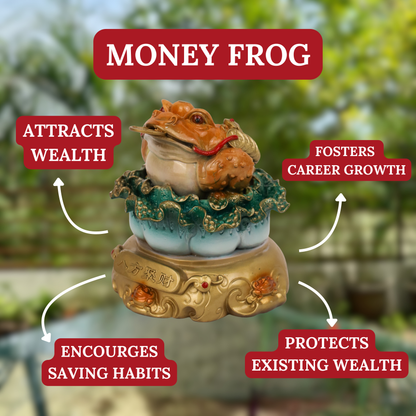 Harvester of Fortune - Money Frog &amp; Cabbage 14cm