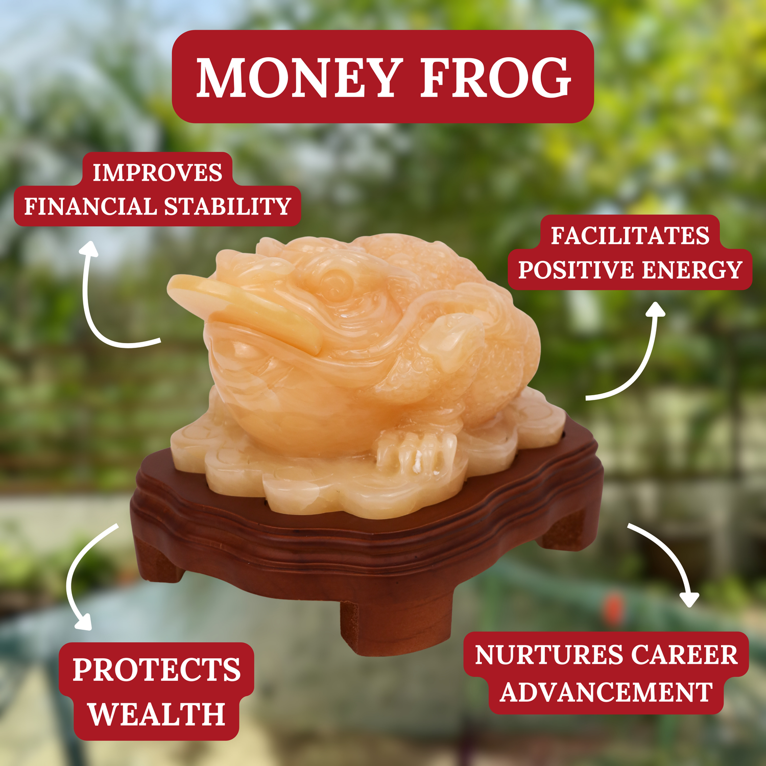 "Multiply All Profits" - Jade Money Frog 27cm