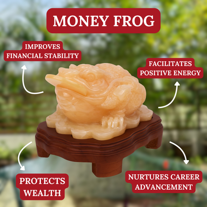 "Multiply All Profits" - Jade Money Frog 27cm