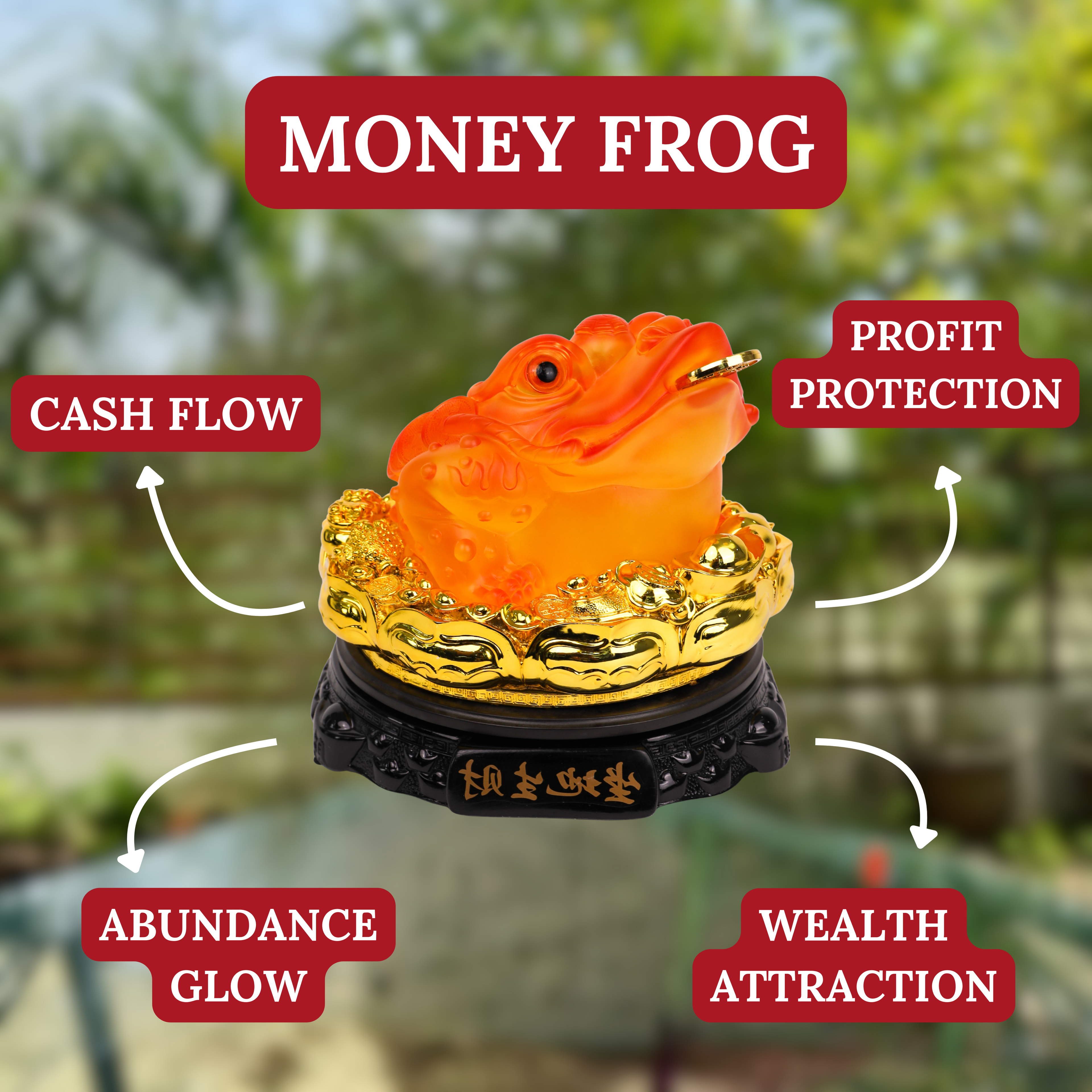 Amber Glow Money Frog of Wealth 25cm