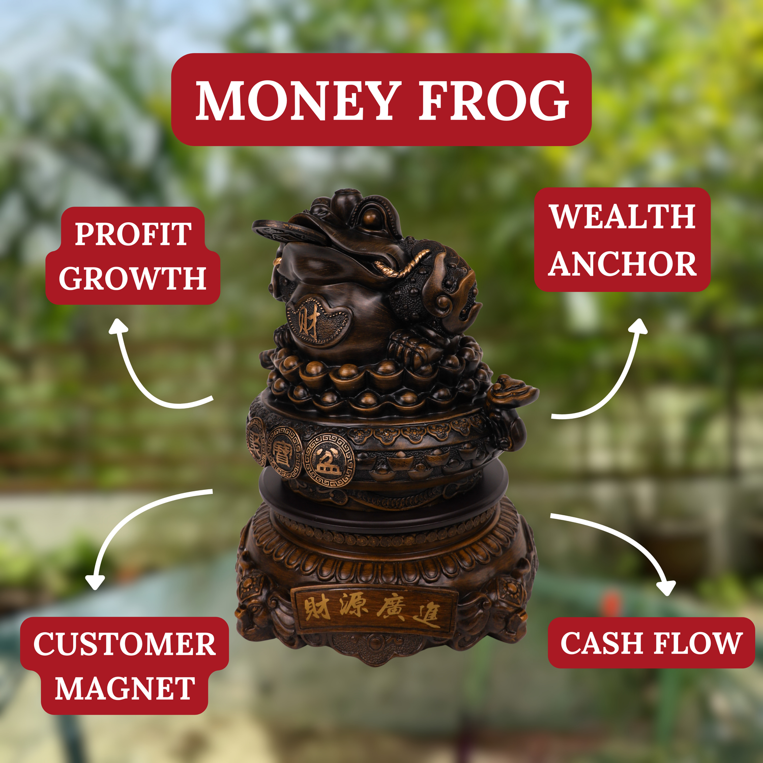 Dynamic Fortune Big Wood Money Frog 45cm