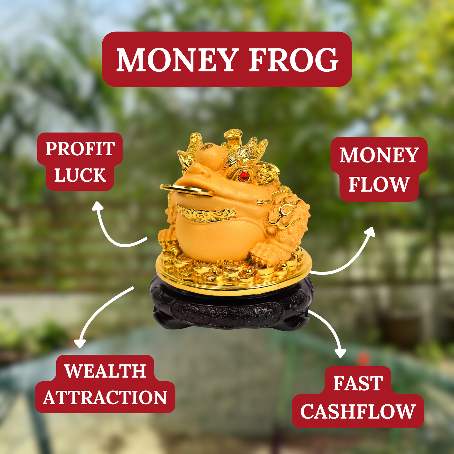 Golden Blessings Good Luck Money Frog 15cm