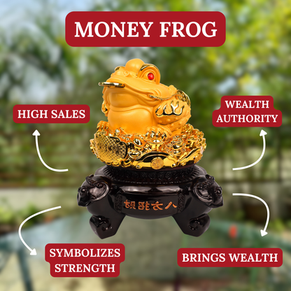 Throne of Fortune Gold Money Frog 40cm