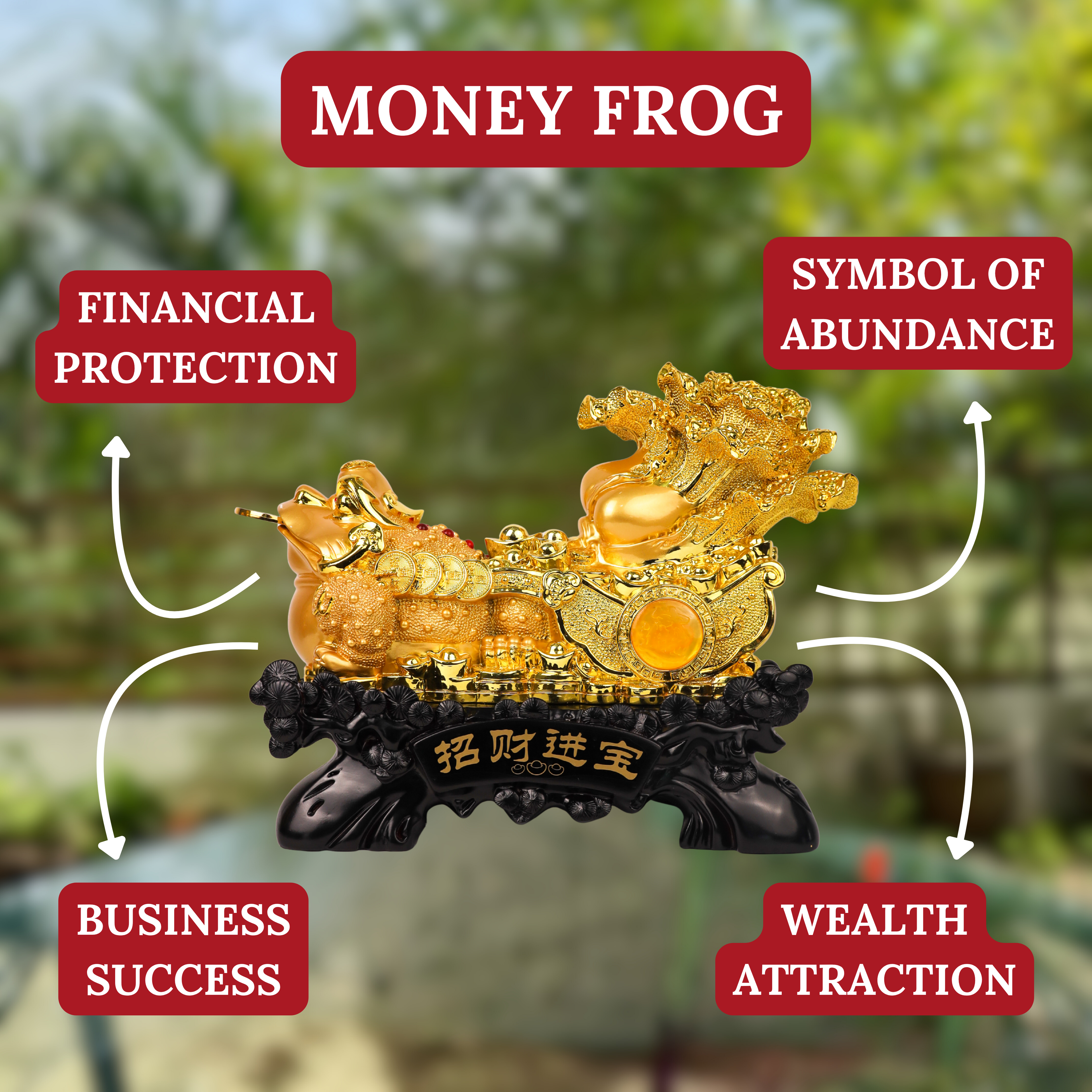 Bring Home The Harvest Money Frog 41cm