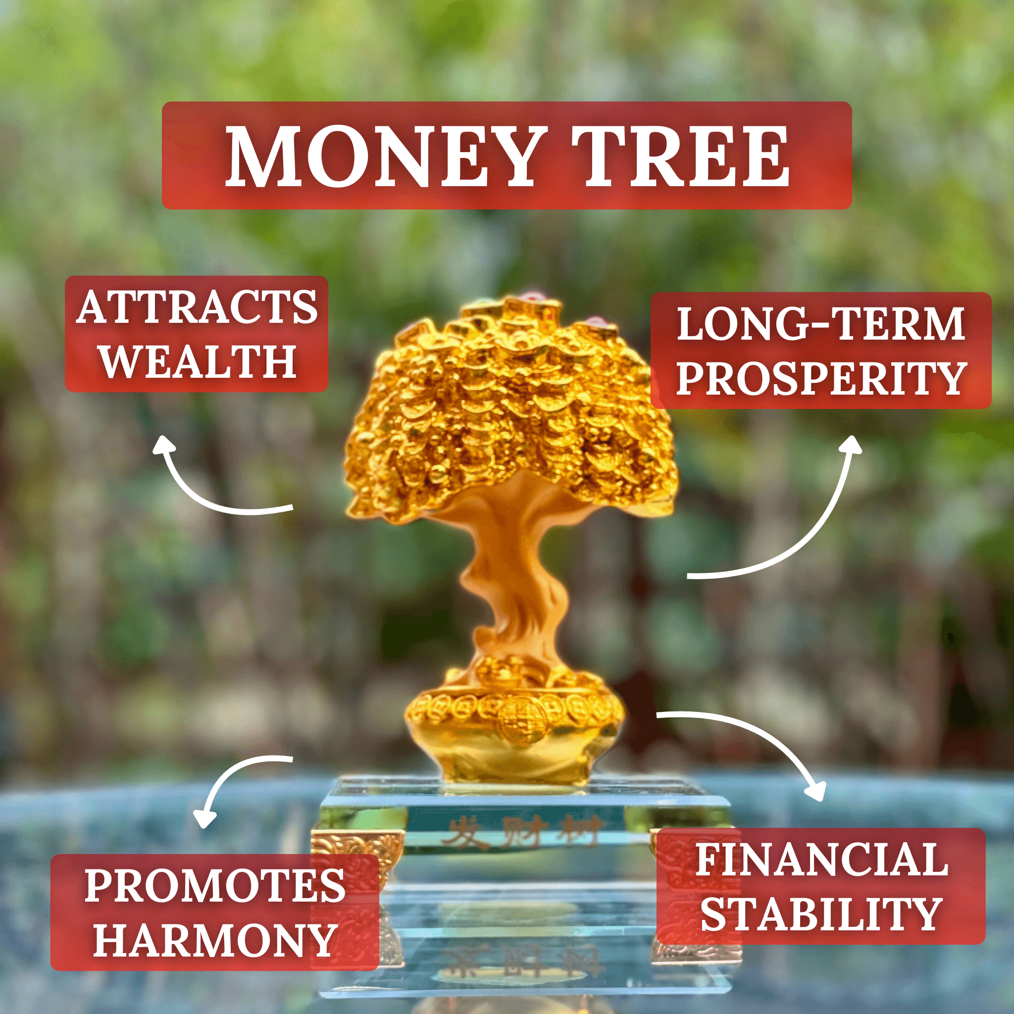 Mini Money Tree for Wealth Attraction 15cm - Feng Shui Chinese Lucky Items - Royal Dragon Decor