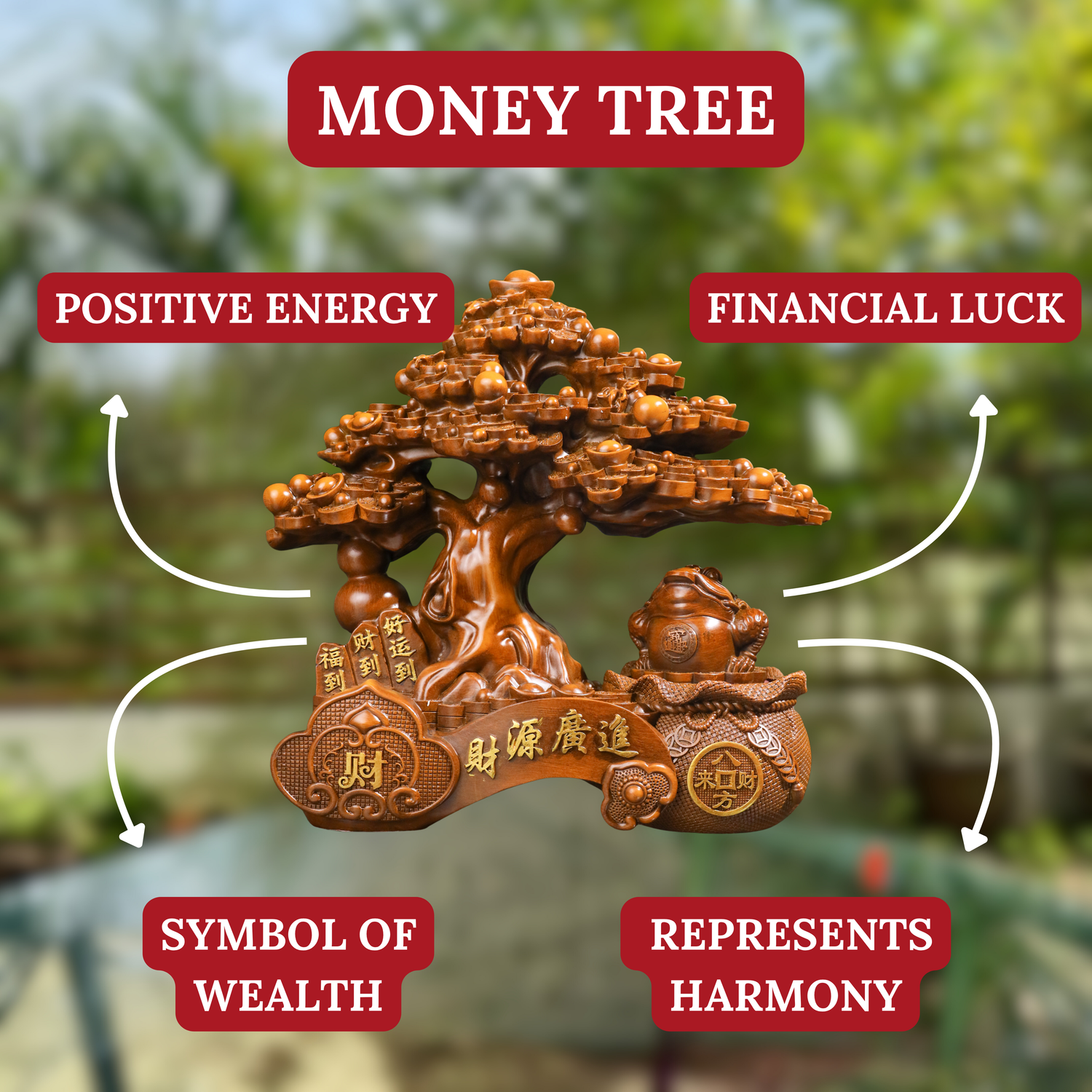 Double Fortune Wood Money Tree &amp; Frog 37cm