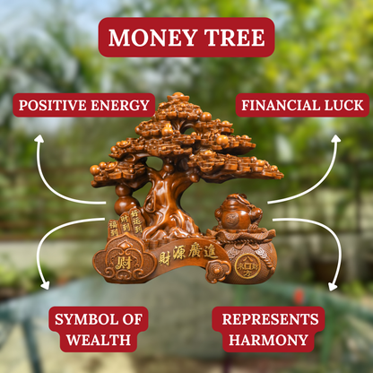 Double Fortune Wood Money Tree &amp; Frog 37cm