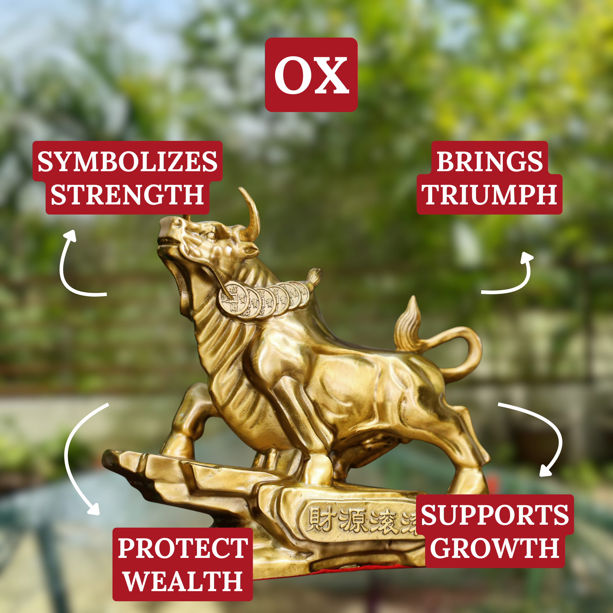 Brass Ox of Triumph &amp; Success 21cm