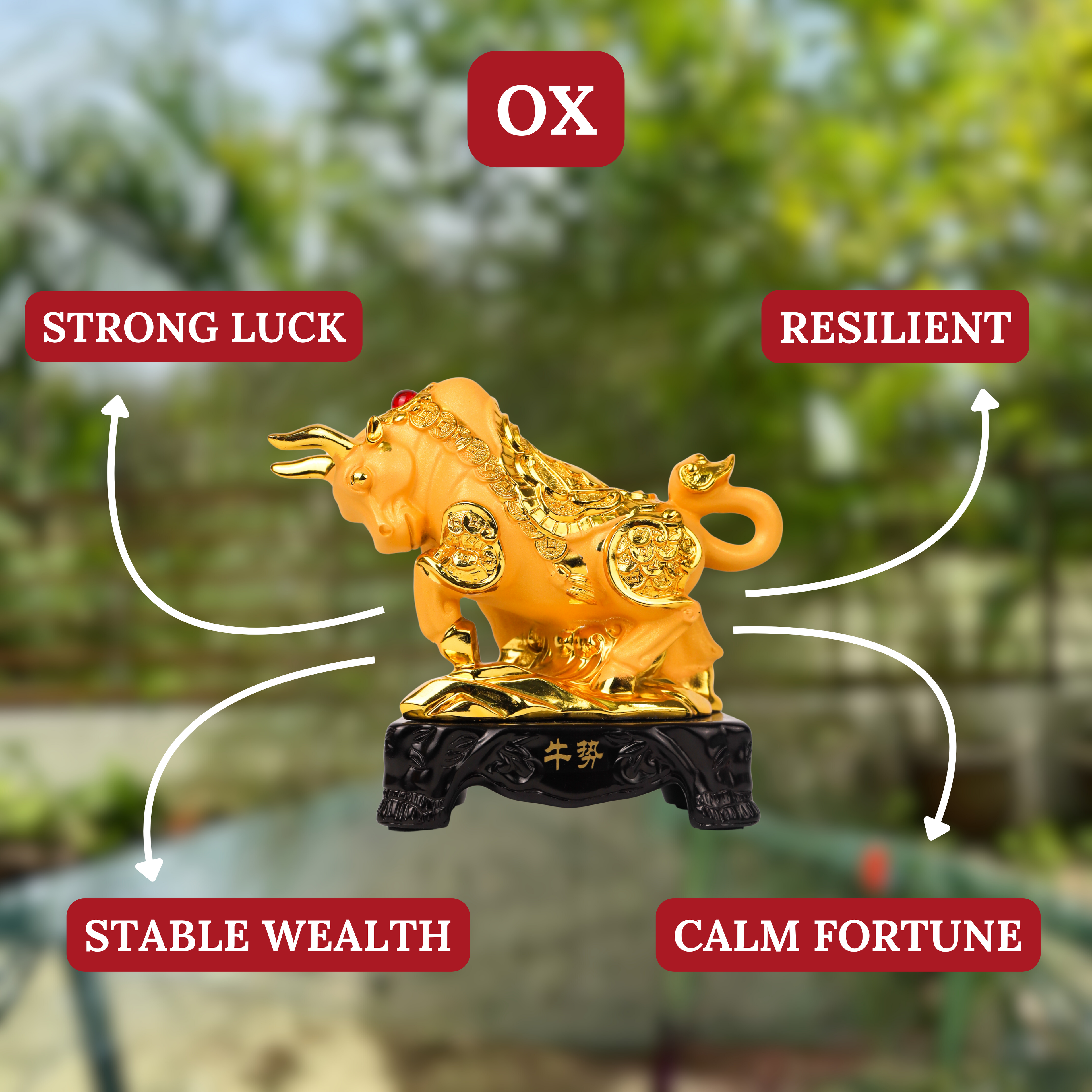 Golden Zodiac Ox of Long-Term Success 18cm
