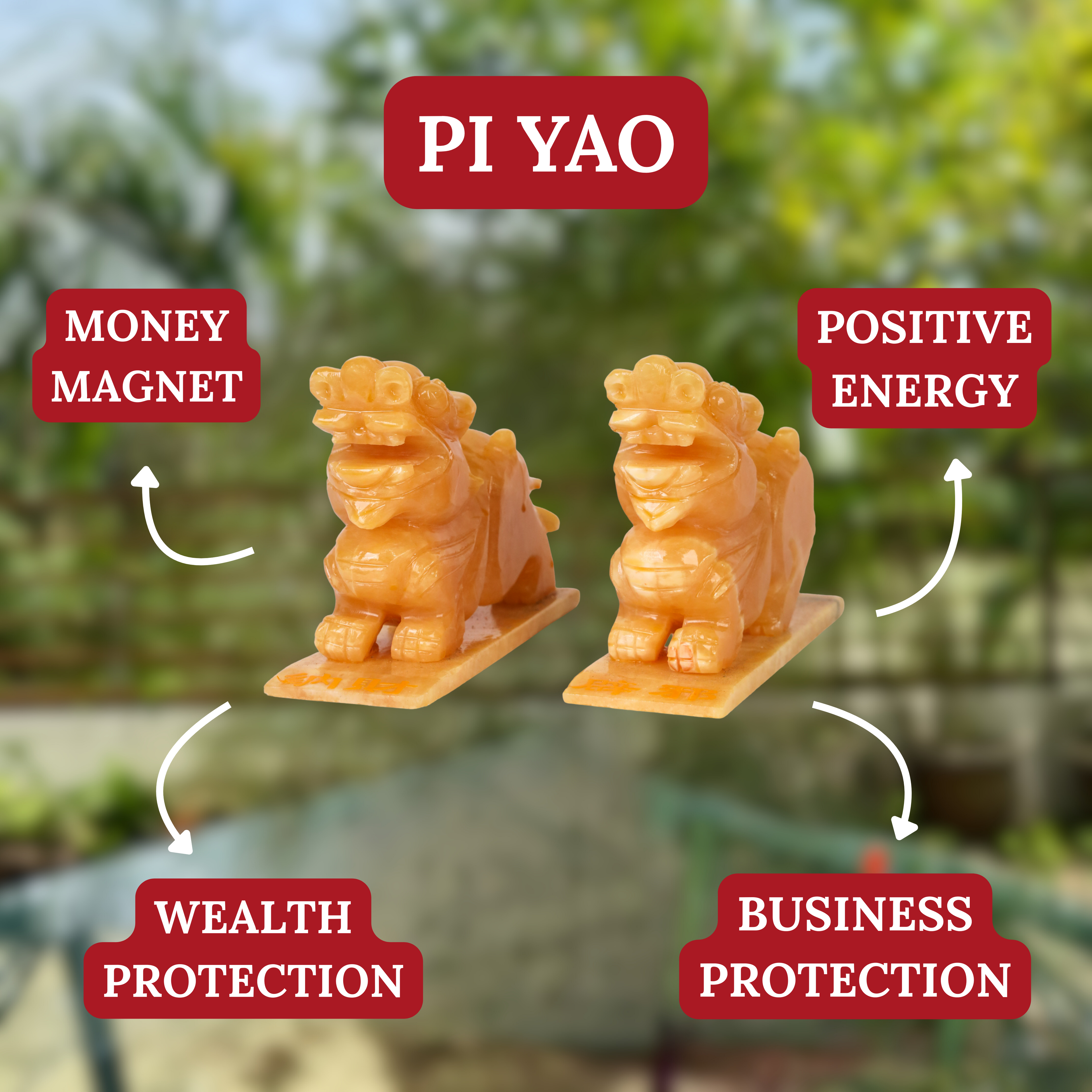 Topaz Pi Yao Pair for Good Money Flow 24cm