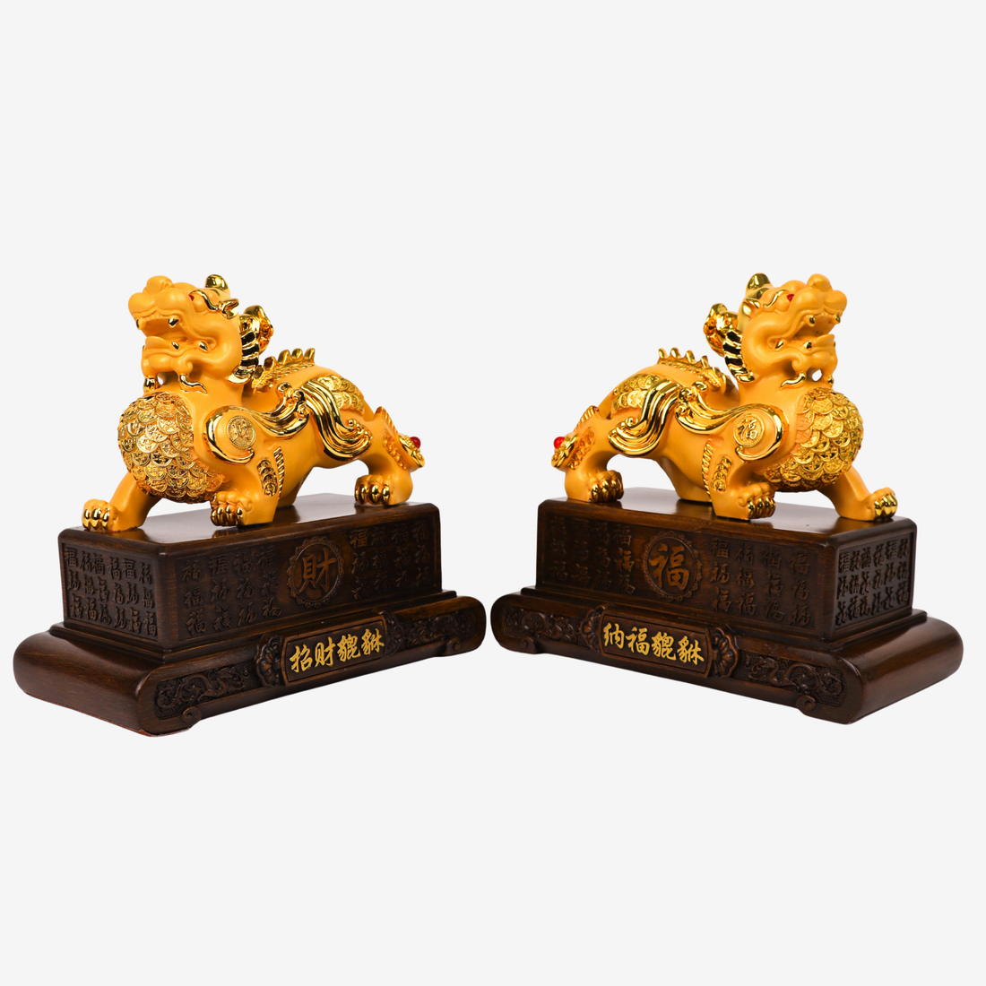 Golden Guardians of Fortune Pi Yao Pair 23cm