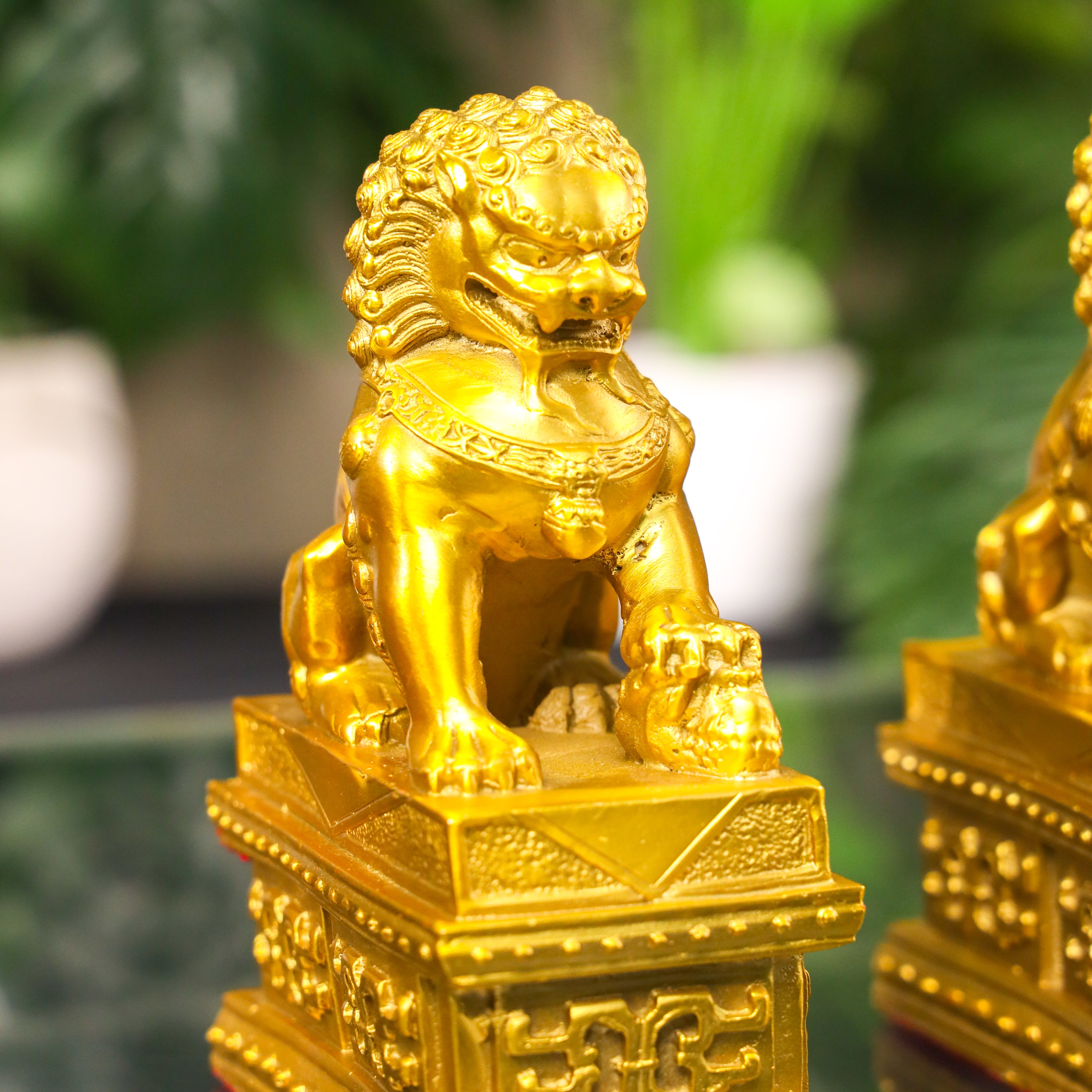 Loyal Gatekeepers Brass Foo Dogs 19cm