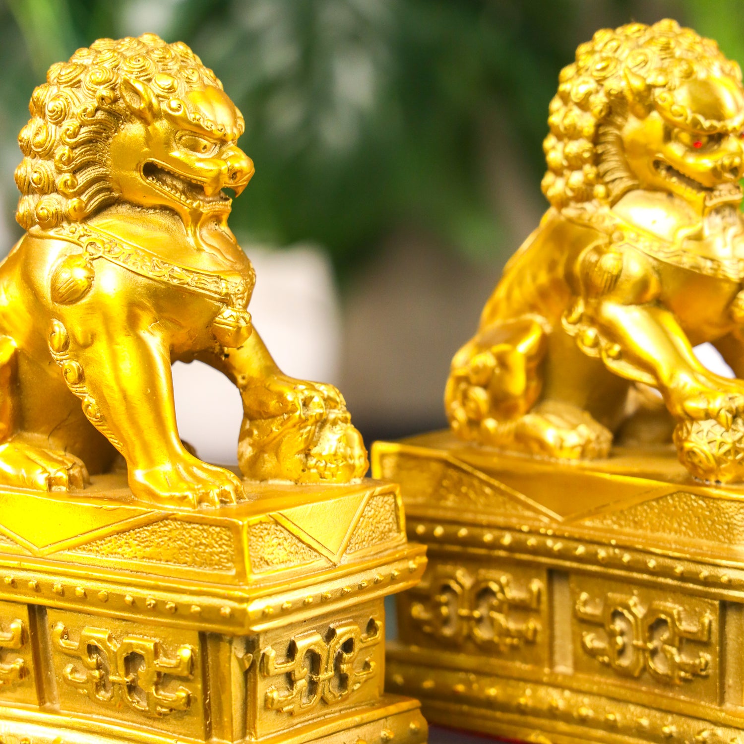 Loyal Gatekeepers Brass Foo Dogs 19cm