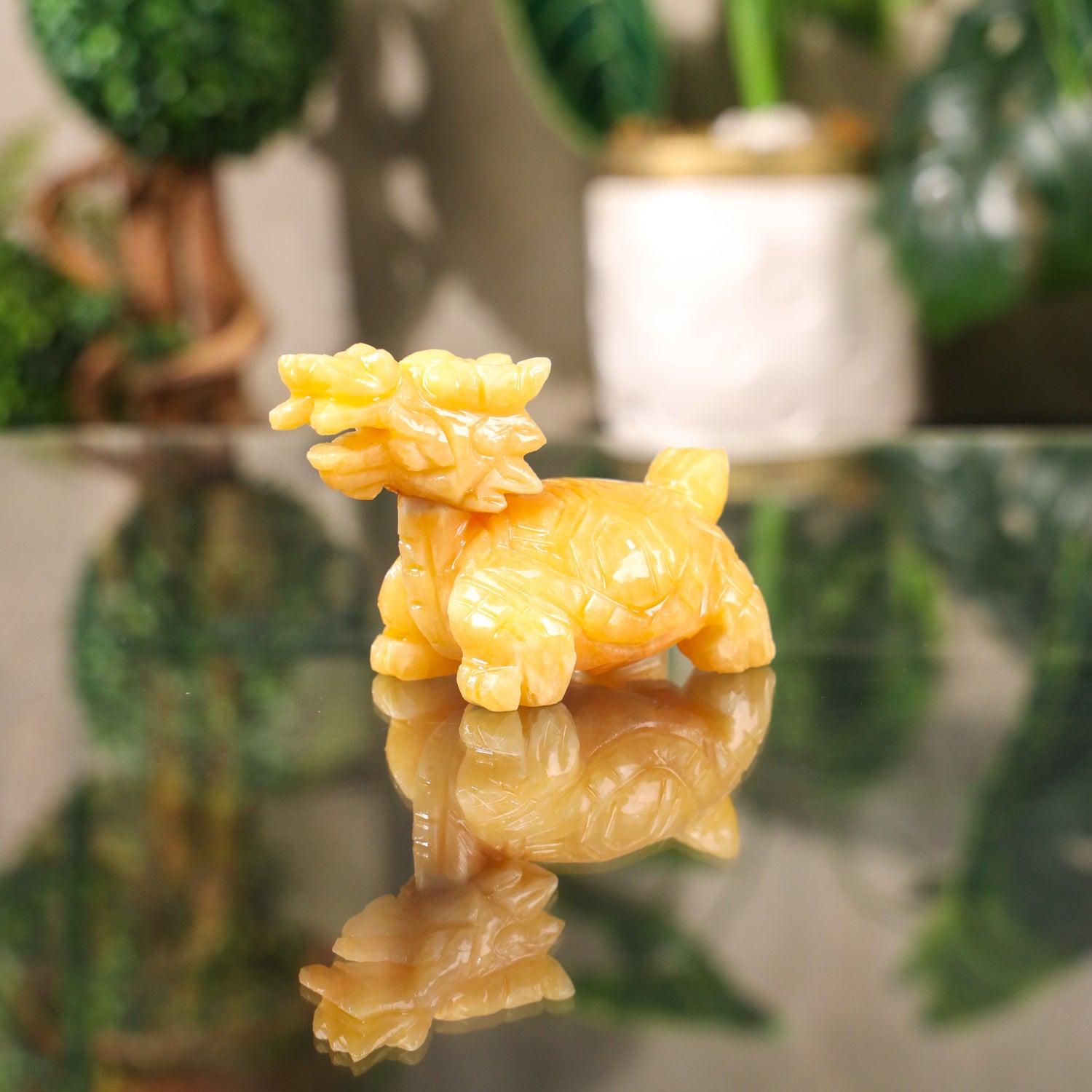 Little Topaz Guardian of Success Dragon Turtle 11cm