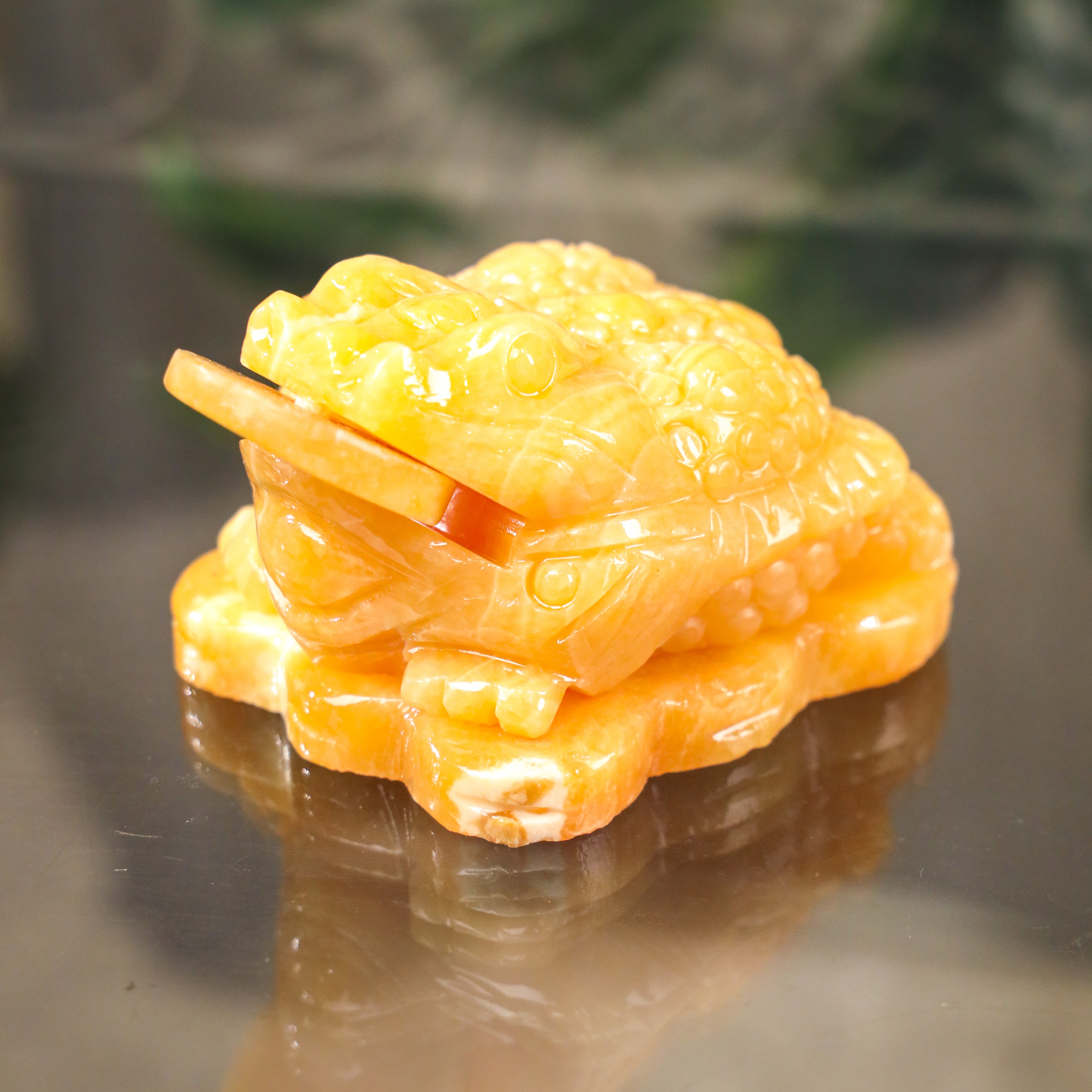 Topaz Money Frog for Growing Wealth 13cm