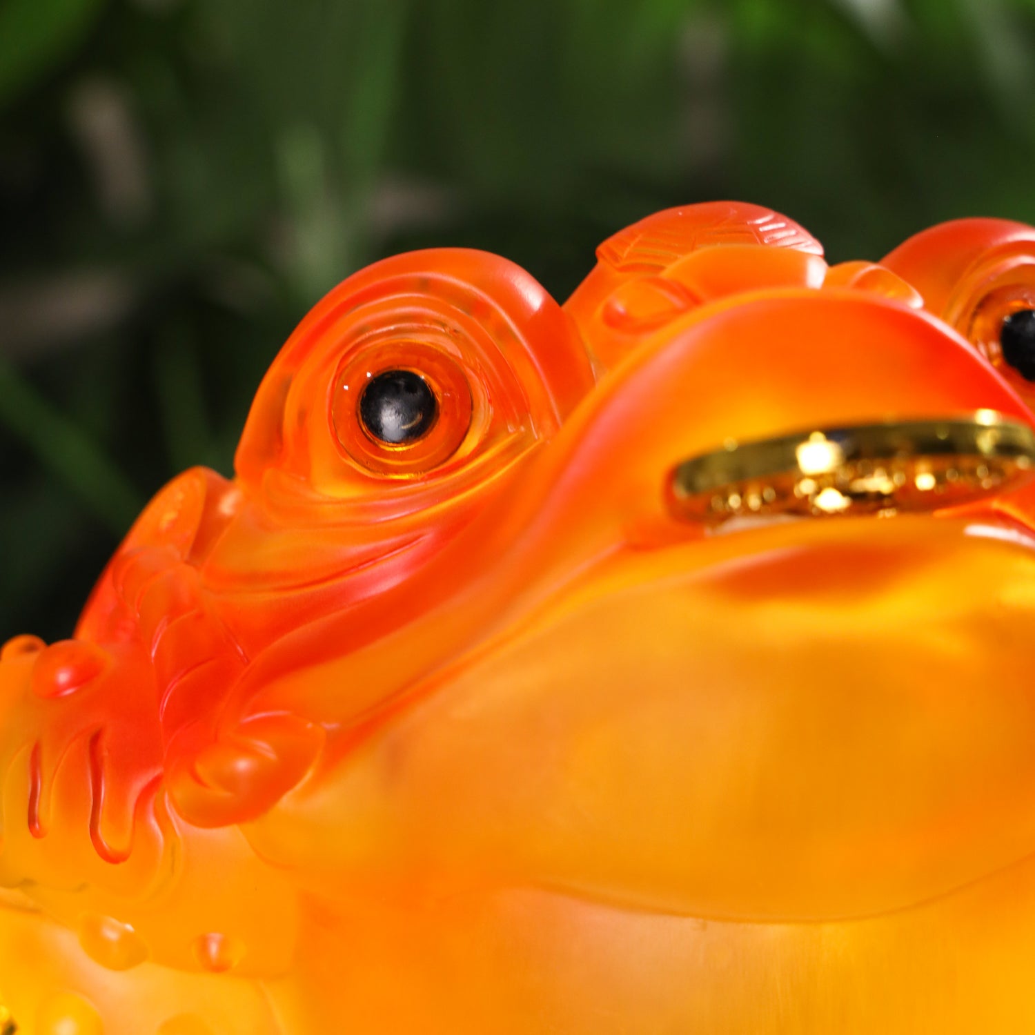 Amber Glow Money Frog of Wealth 25cm