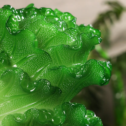 Fresh Fortune Chinese Wealth Cabbage 16cm