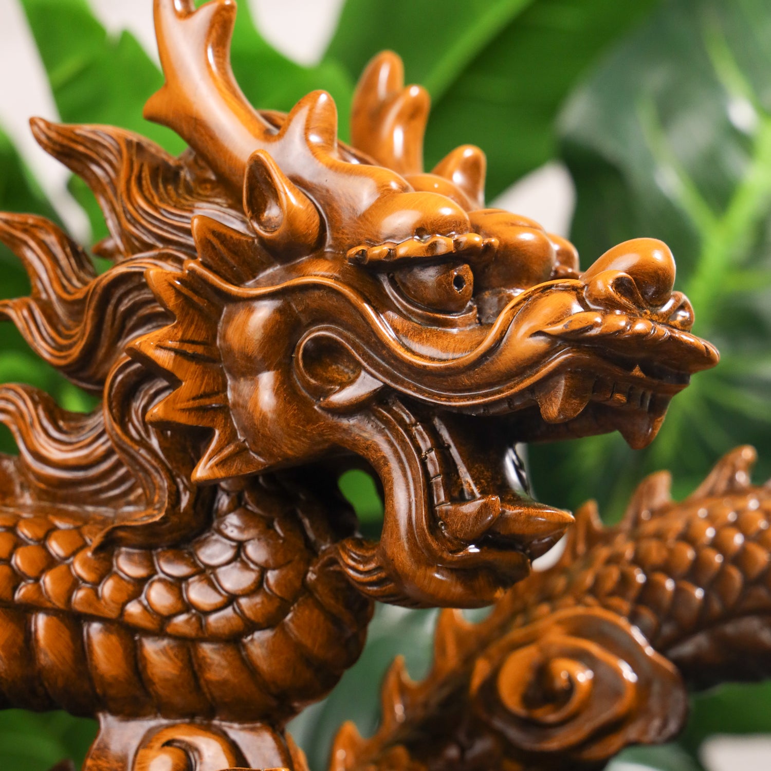 Worldwide Wealth Expansion Wood Dragon 54cm