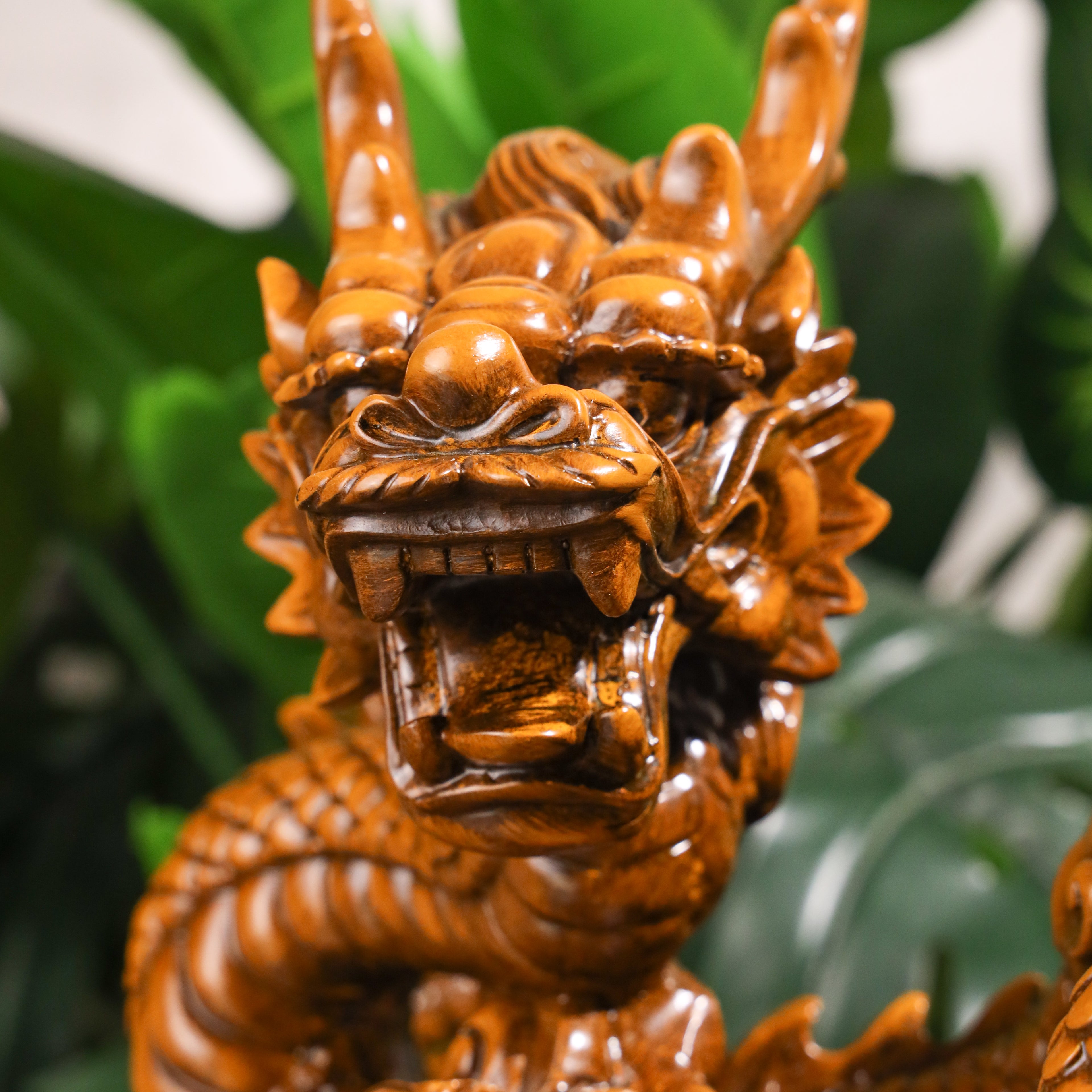 Worldwide Wealth Expansion Wood Dragon 54cm