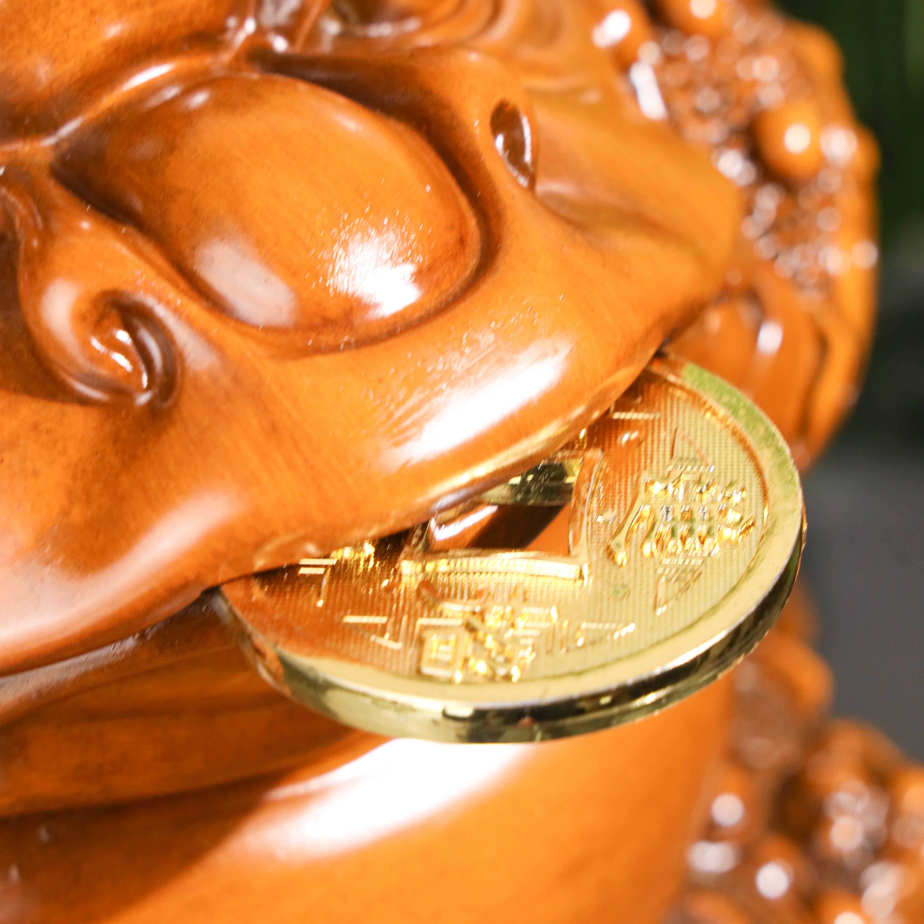 Wealth-Loaded Wood Money Frog 41cm