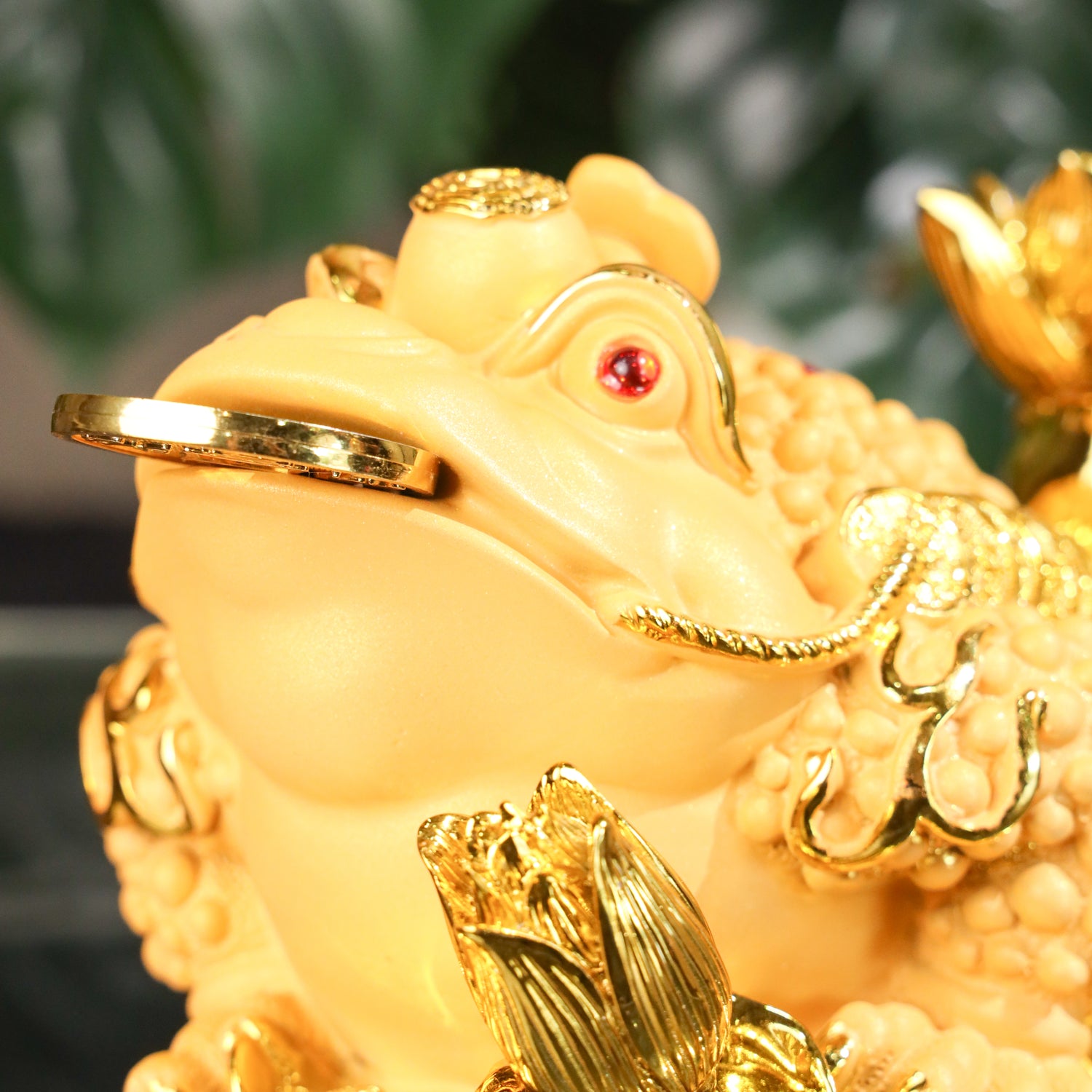Display of Wealth Golden Money Frog 33cm