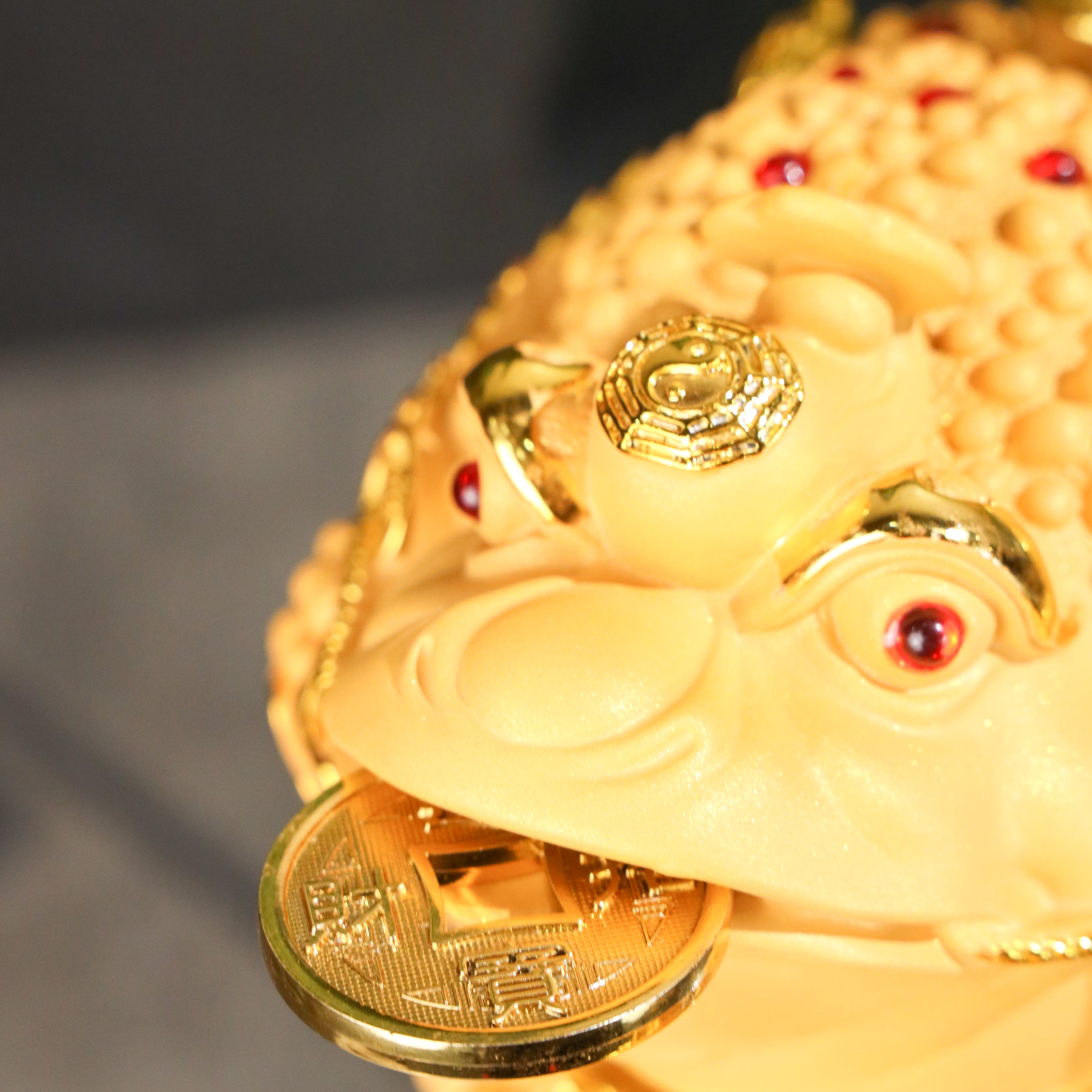 Display of Wealth Golden Money Frog 33cm