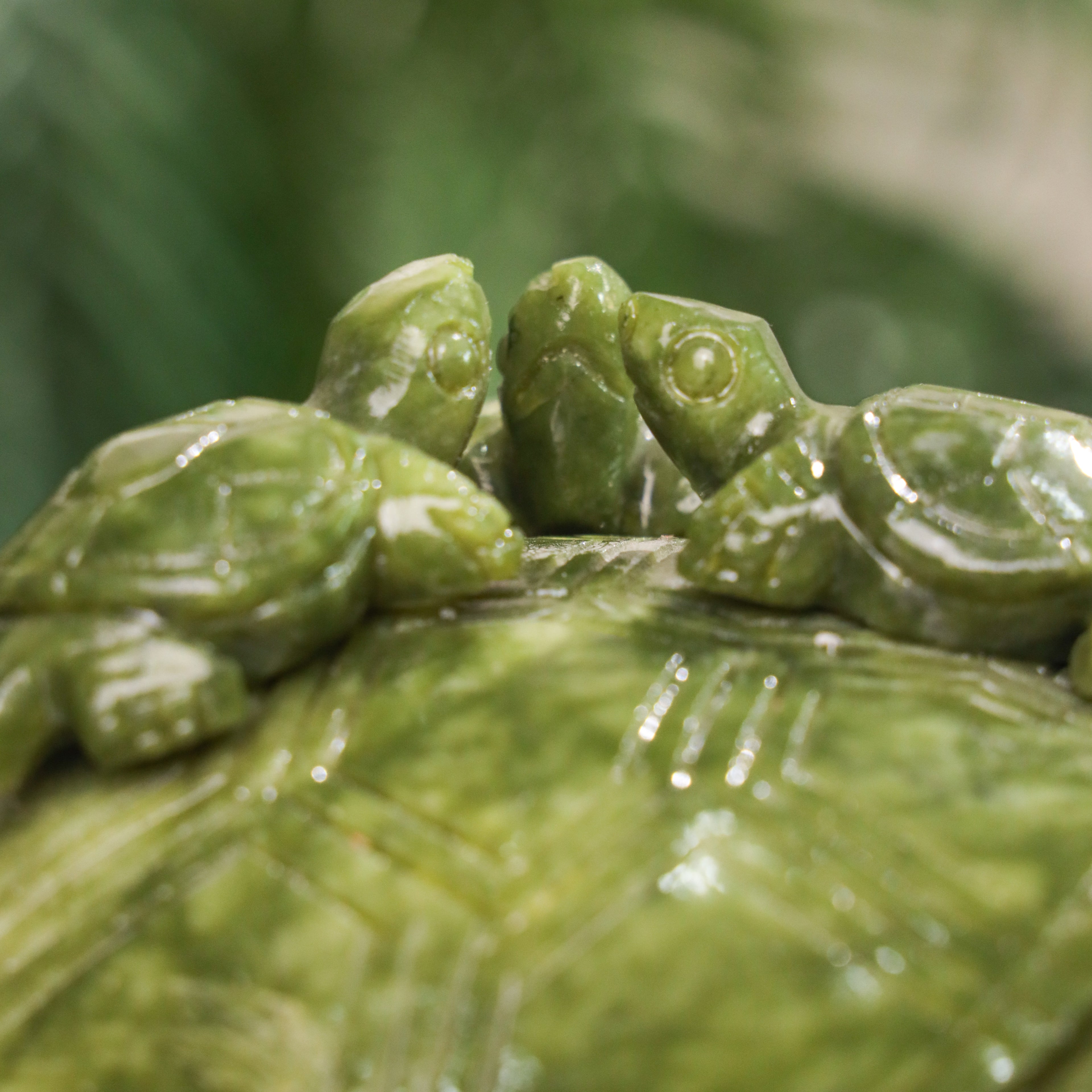 Parent &amp; Baby Jade Turtles of Safety &amp; Stability 25cm