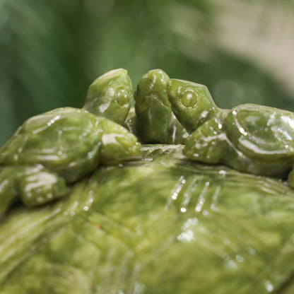 Parent &amp; Baby Jade Turtles of Safety &amp; Stability 25cm