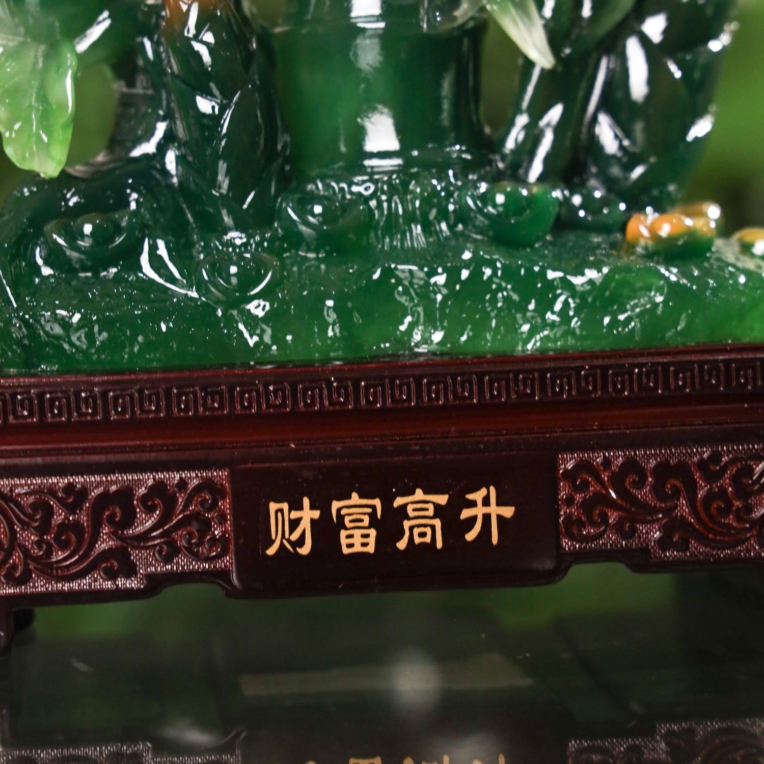 Growing Everyday Lucky Green Bamboo 25cm