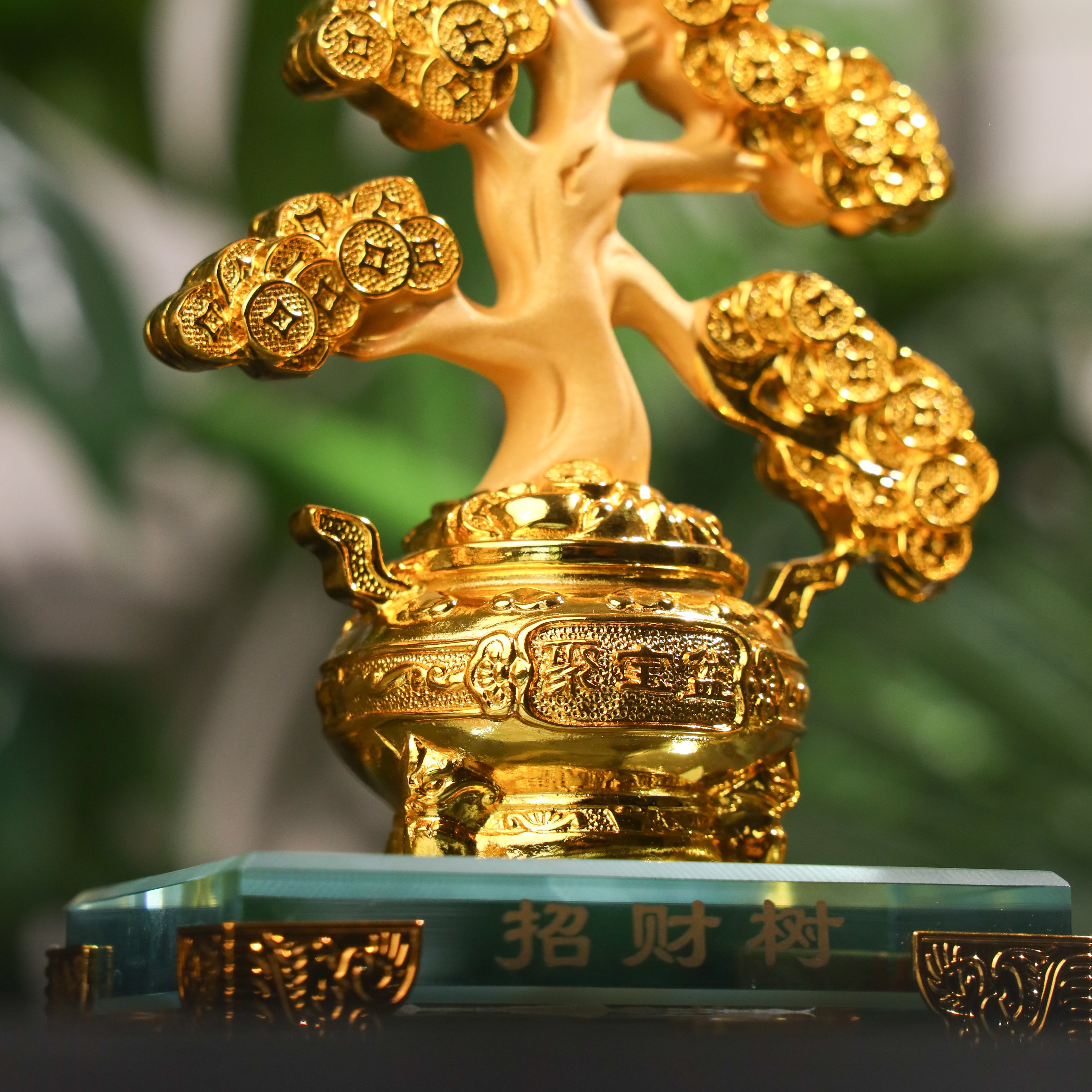 Slim Money Tree of Smooth Wealth Growth 16cm