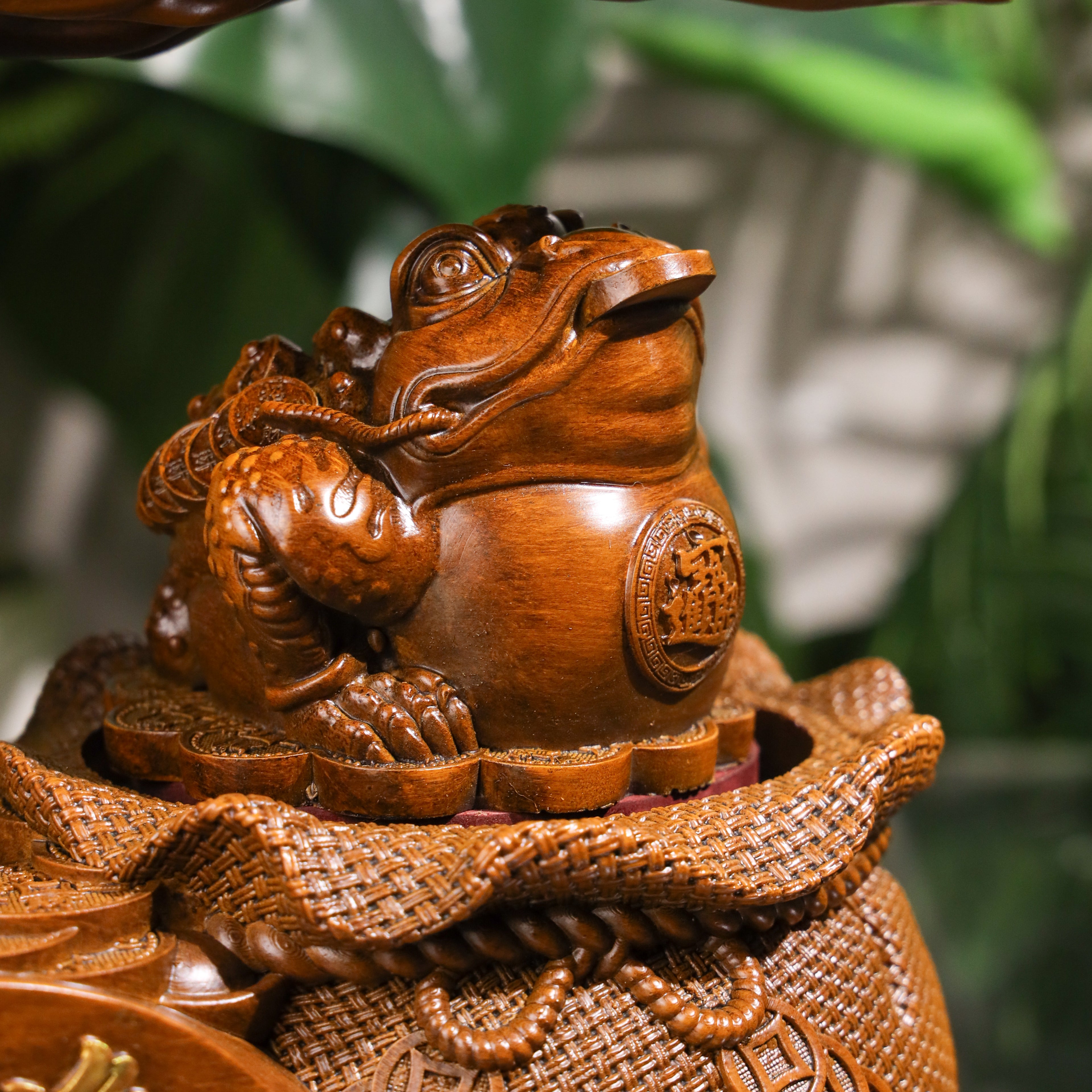 Double Fortune Wood Money Tree &amp; Frog 37cm