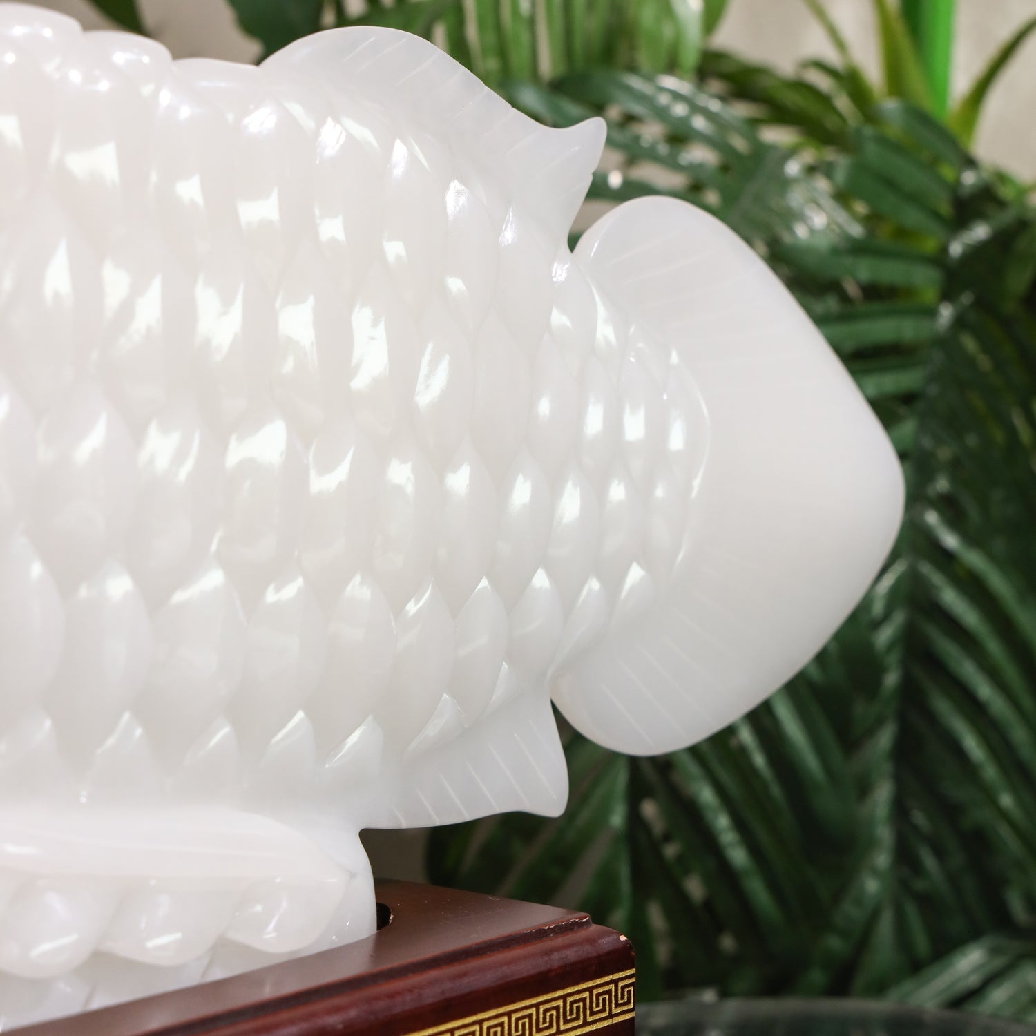 "Succeed In Business" - Jade Arowana 70cm