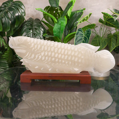 "Strengthen Business Luck" - Jade Arowana 62cm