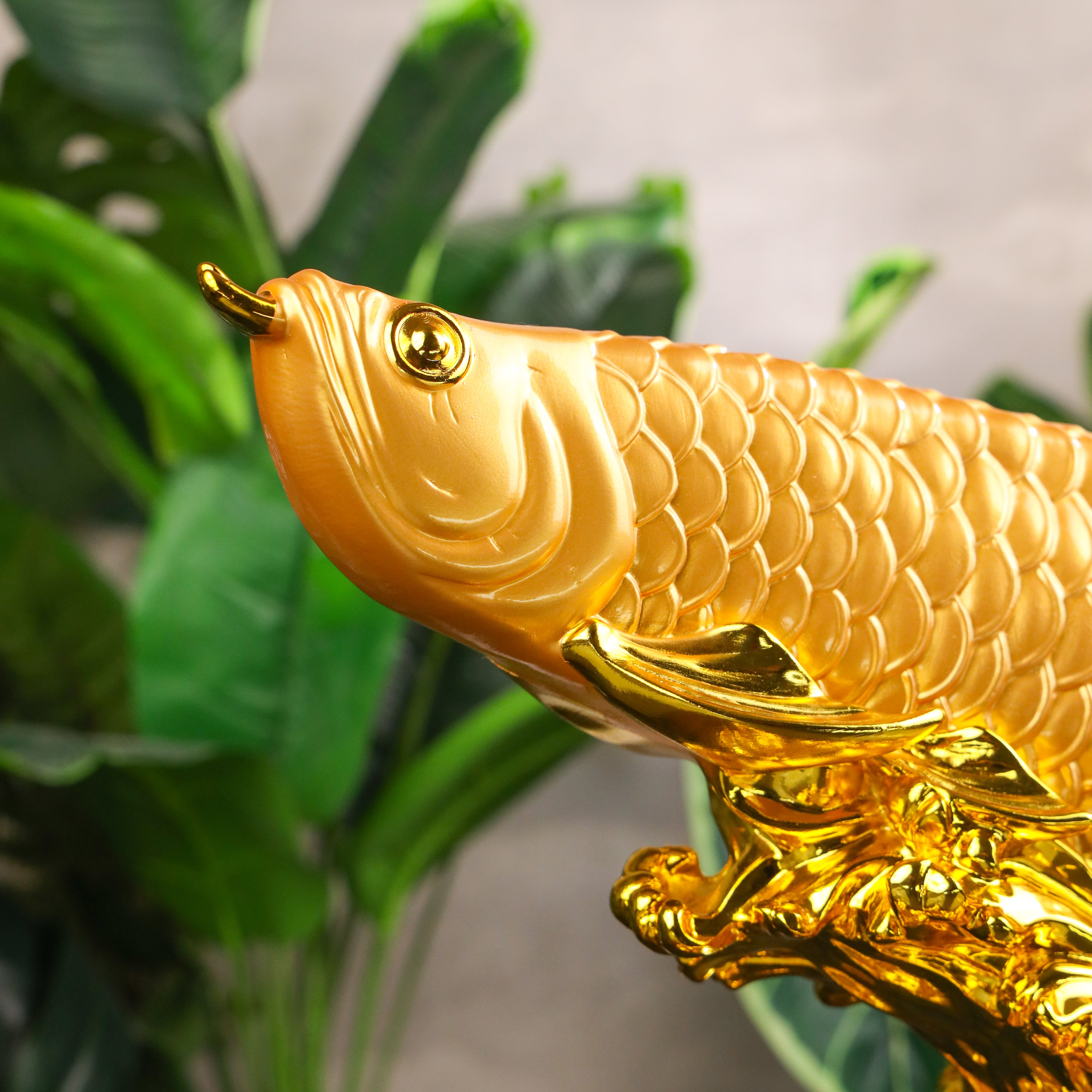 The Golden Dragon Fish Arowana 41cm