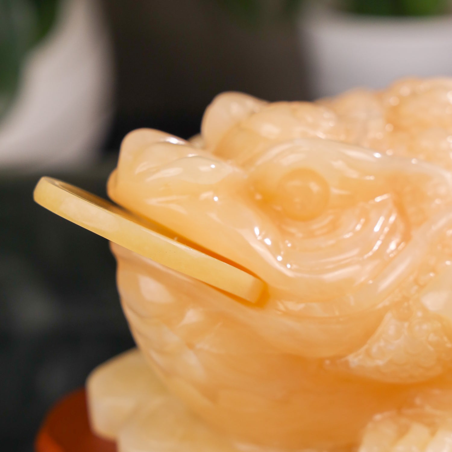 "Multiply All Profits" - Jade Money Frog 27cm