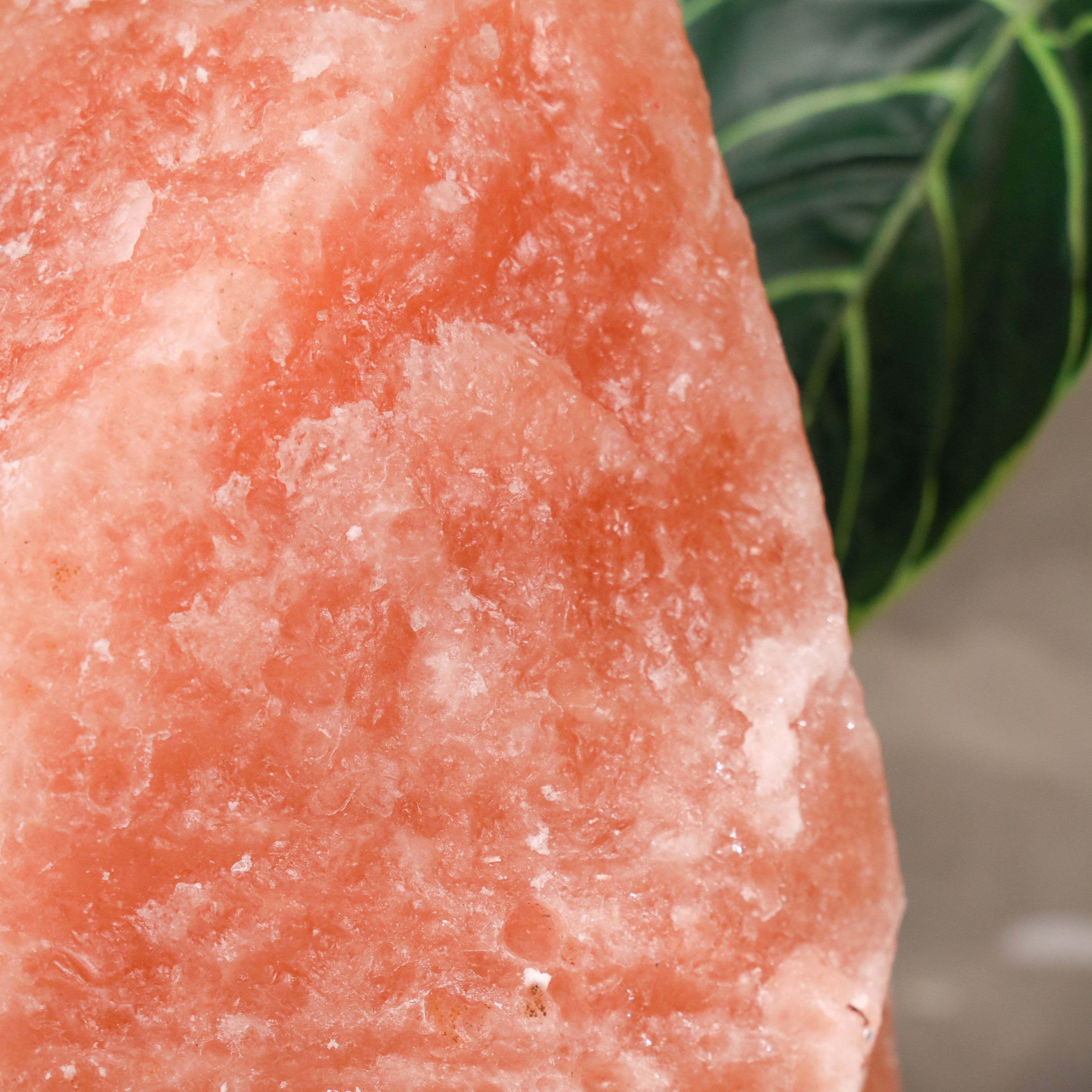 Source of Serenity Himalayan Salt Lamp 9-12kg