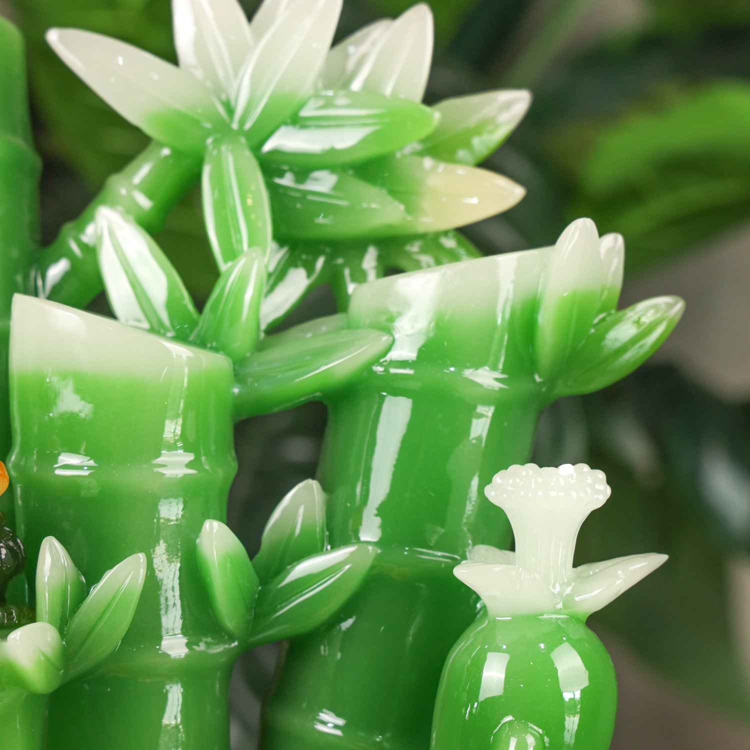 Lucky Green Bamboo of Stable Success 36cm