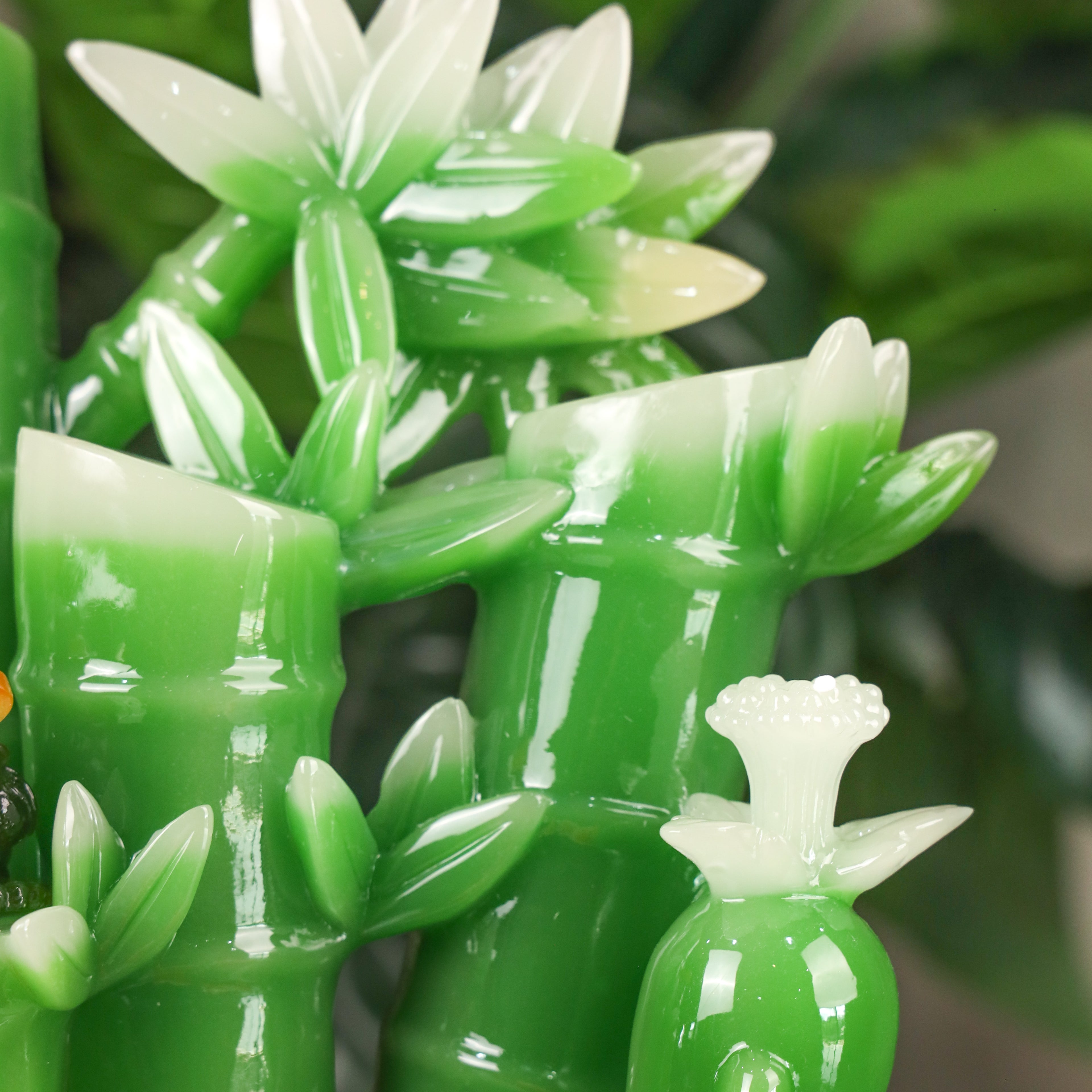 Lucky Green Bamboo of Stable Success 36cm
