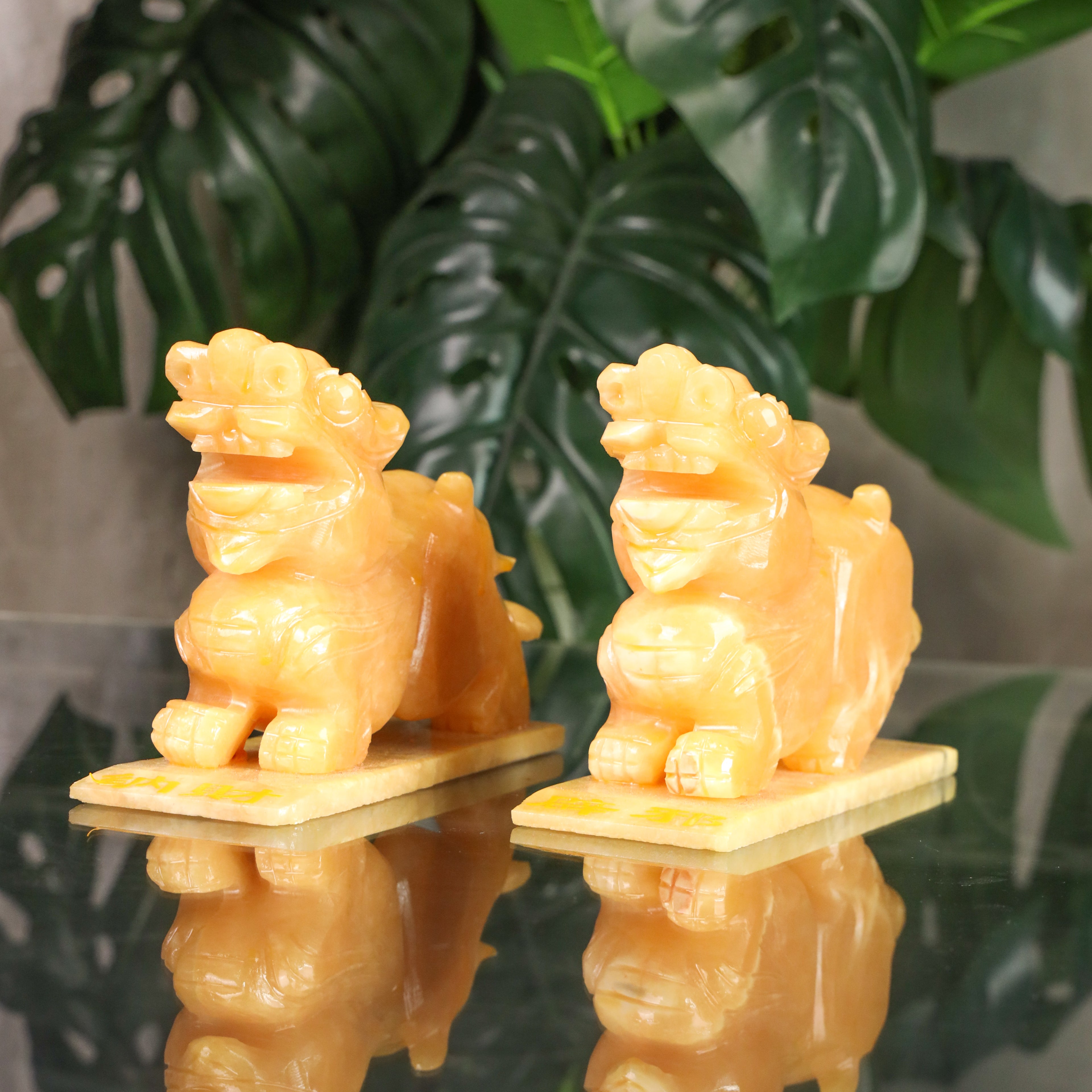 Topaz Pi Yao Pair for Good Money Flow 24cm
