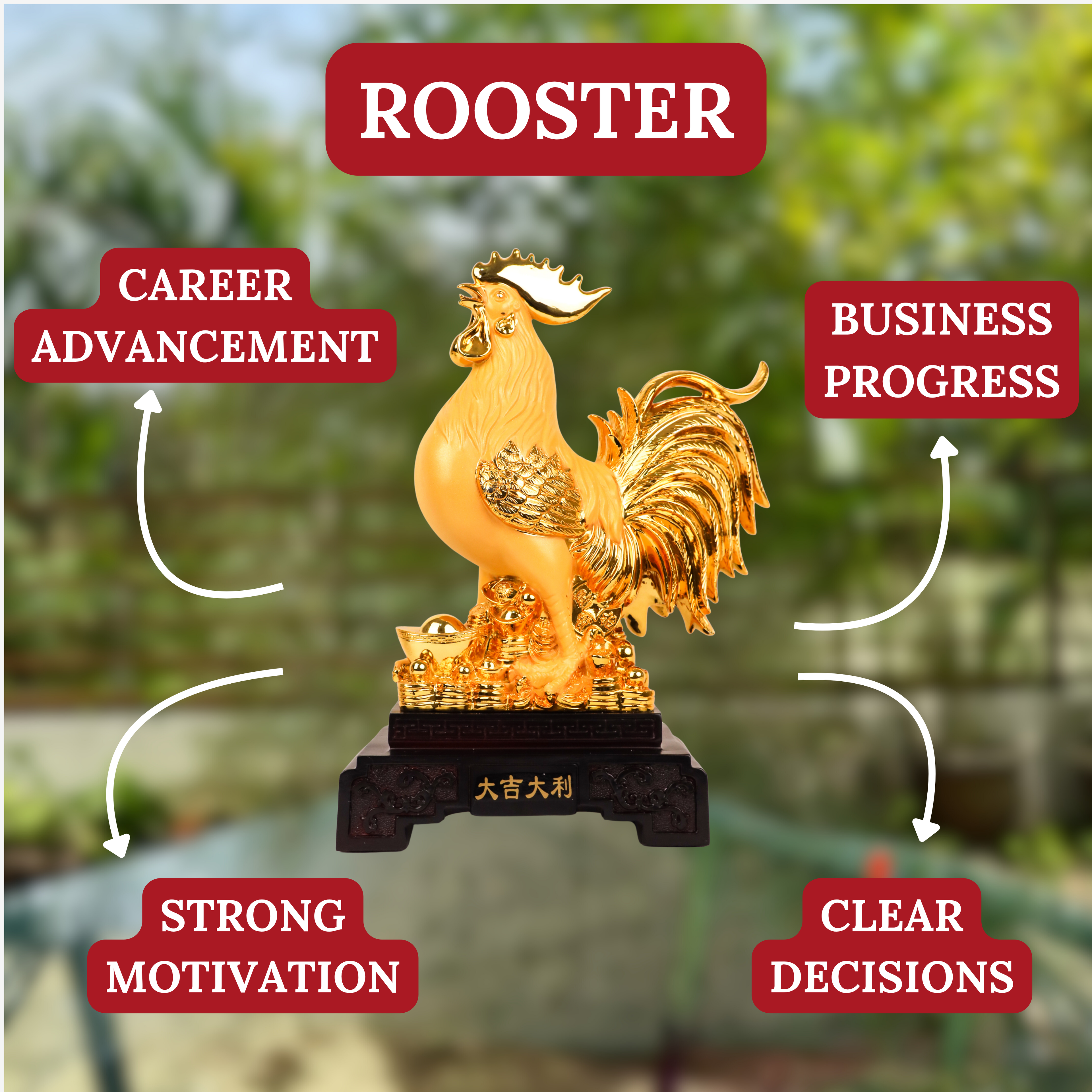 Rising Dawn Rooster of Sure &amp; Steady Success 38cm