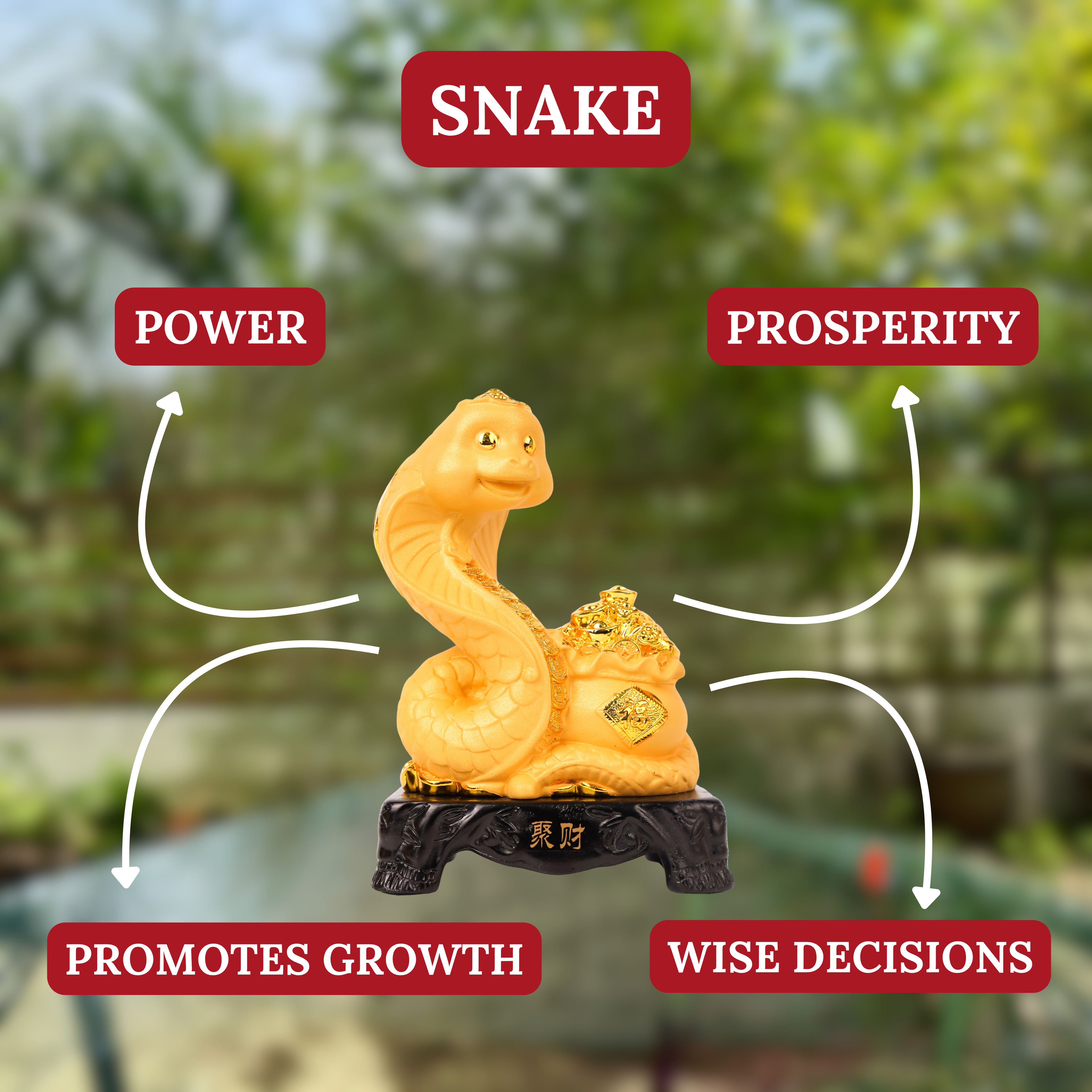 Golden Zodiac Snake of Strategy &amp; Wisdom 18cm