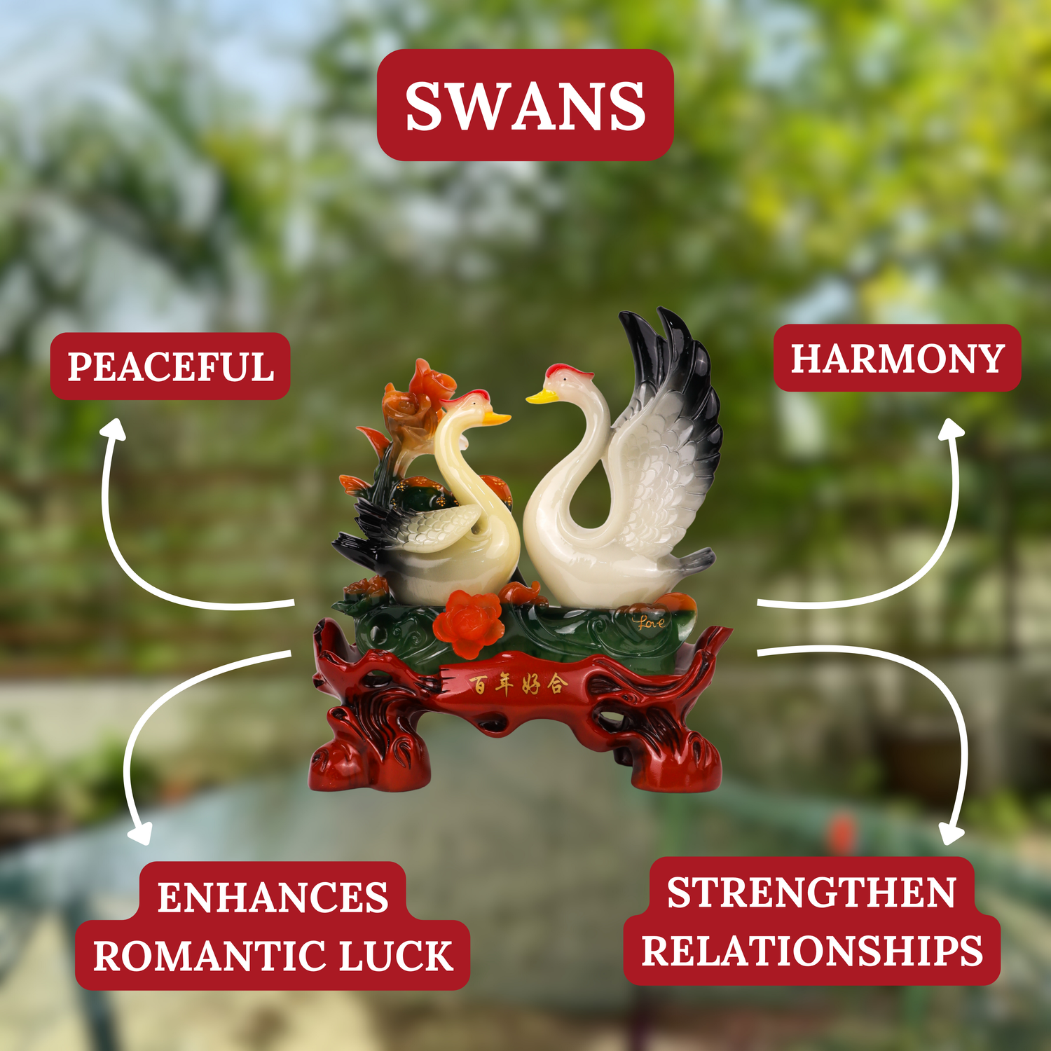 White Swans for Faithful Love 33cm