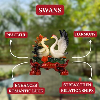 White Swans for Faithful Love 33cm