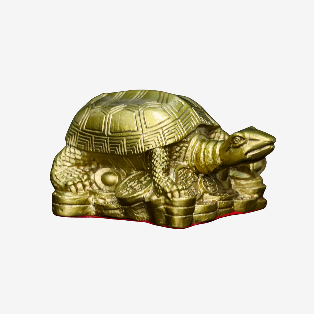 Shield of Fortune Brass Turtle 13cm