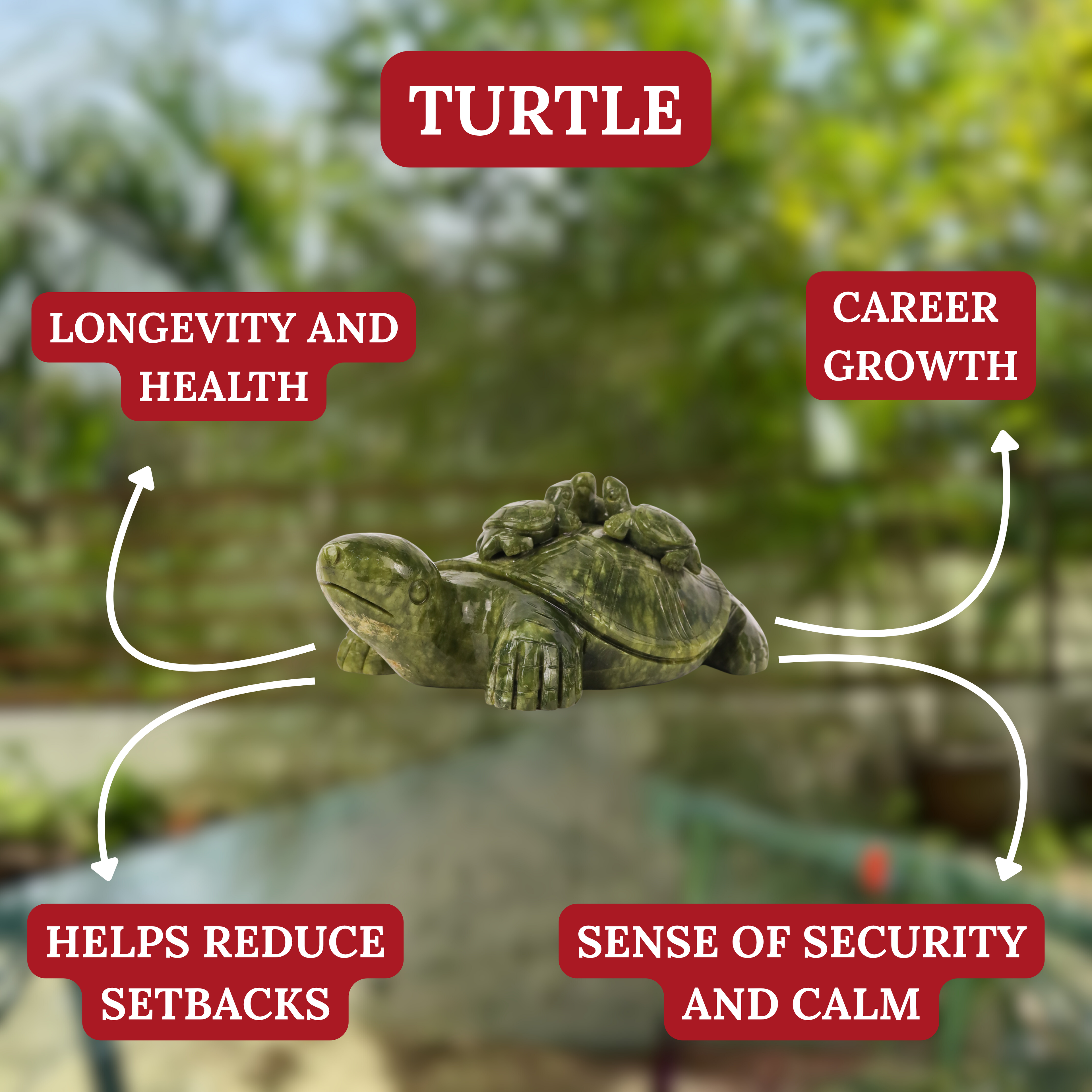 Parent &amp; Baby Jade Turtles of Safety &amp; Stability 25cm