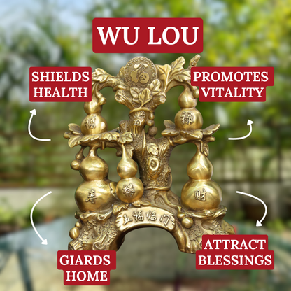 5 Wu Lou Tree of Strong Health 27cm