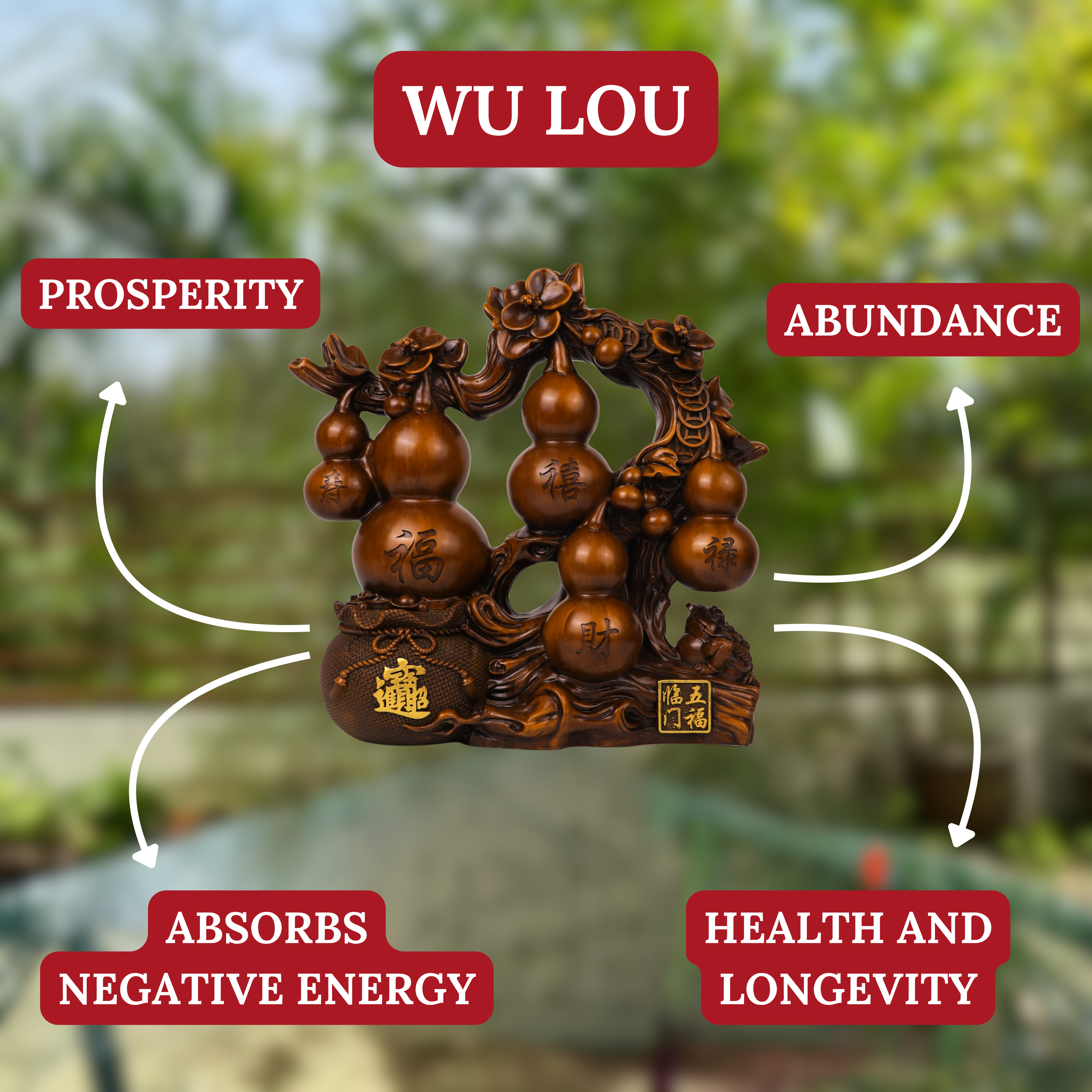 Complete Family Health Protection Wu Lou 38cm