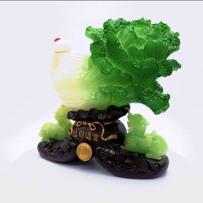 Fresh Fortune Chinese Wealth Cabbage 16cm